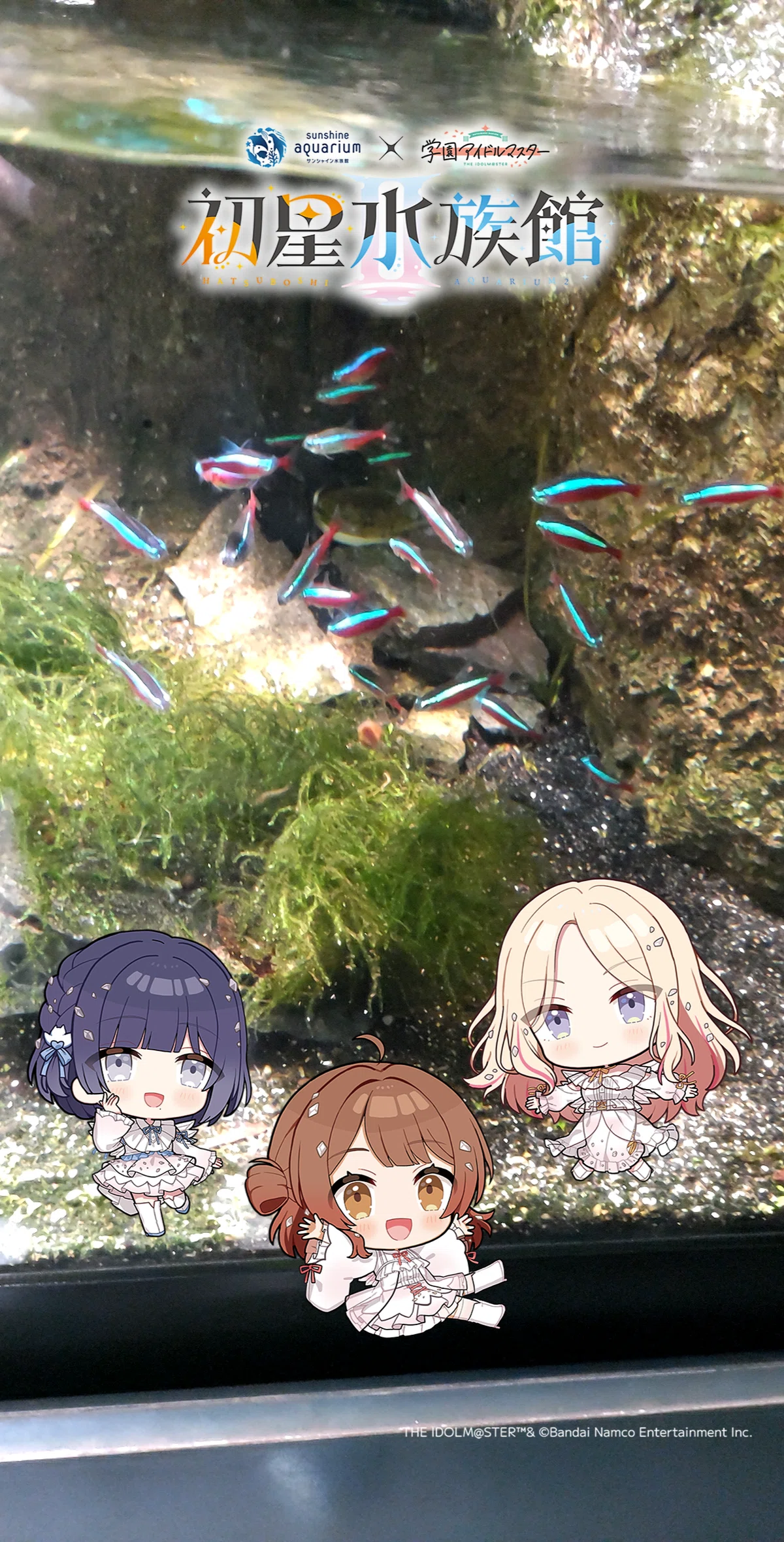 学マス】初星水族館IIに行ってきた！｜さめいろ