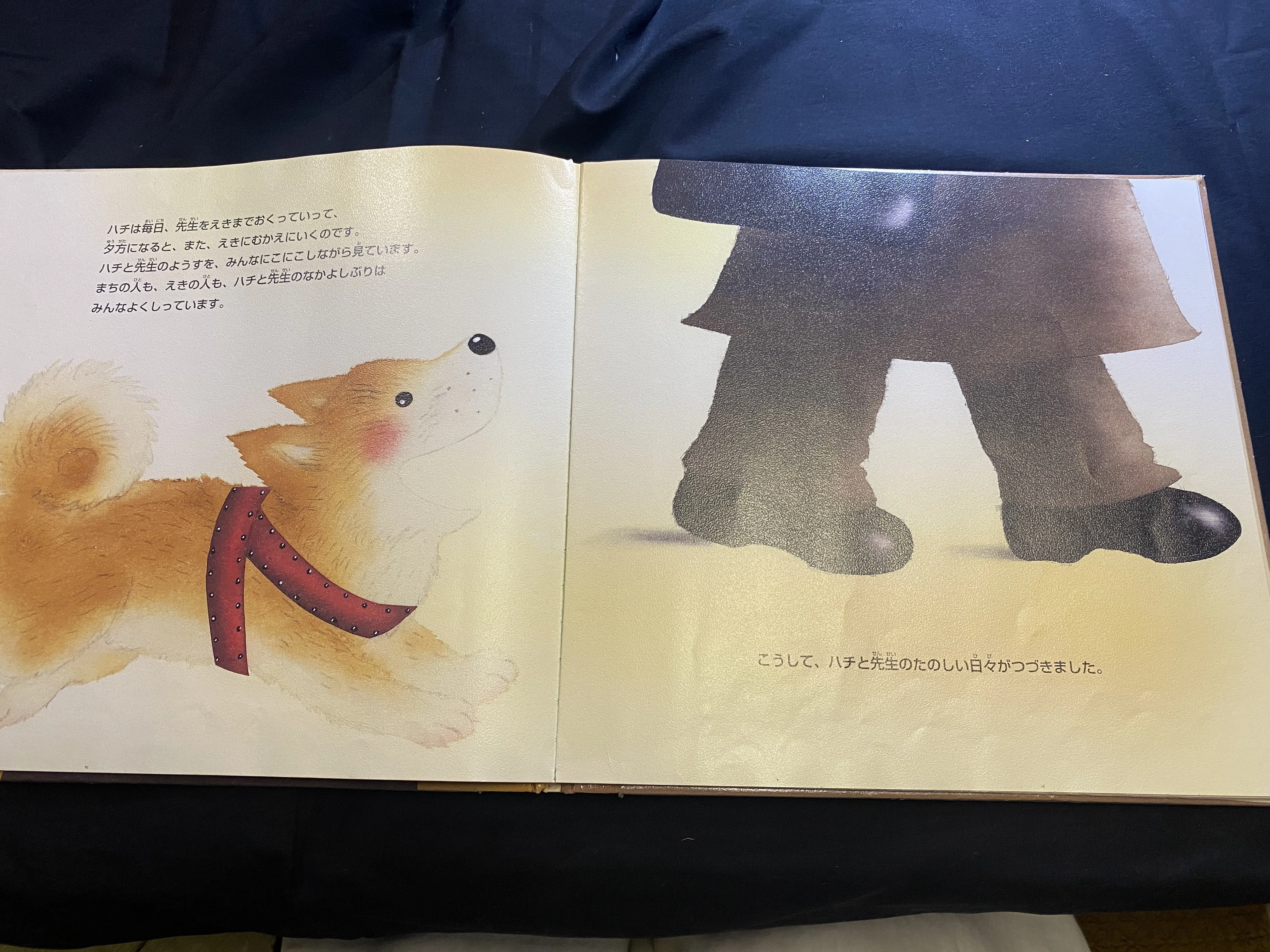 絵本レビュー】『いとしの犬 ハチ』📕今の子供達にも知ってほしい♡何