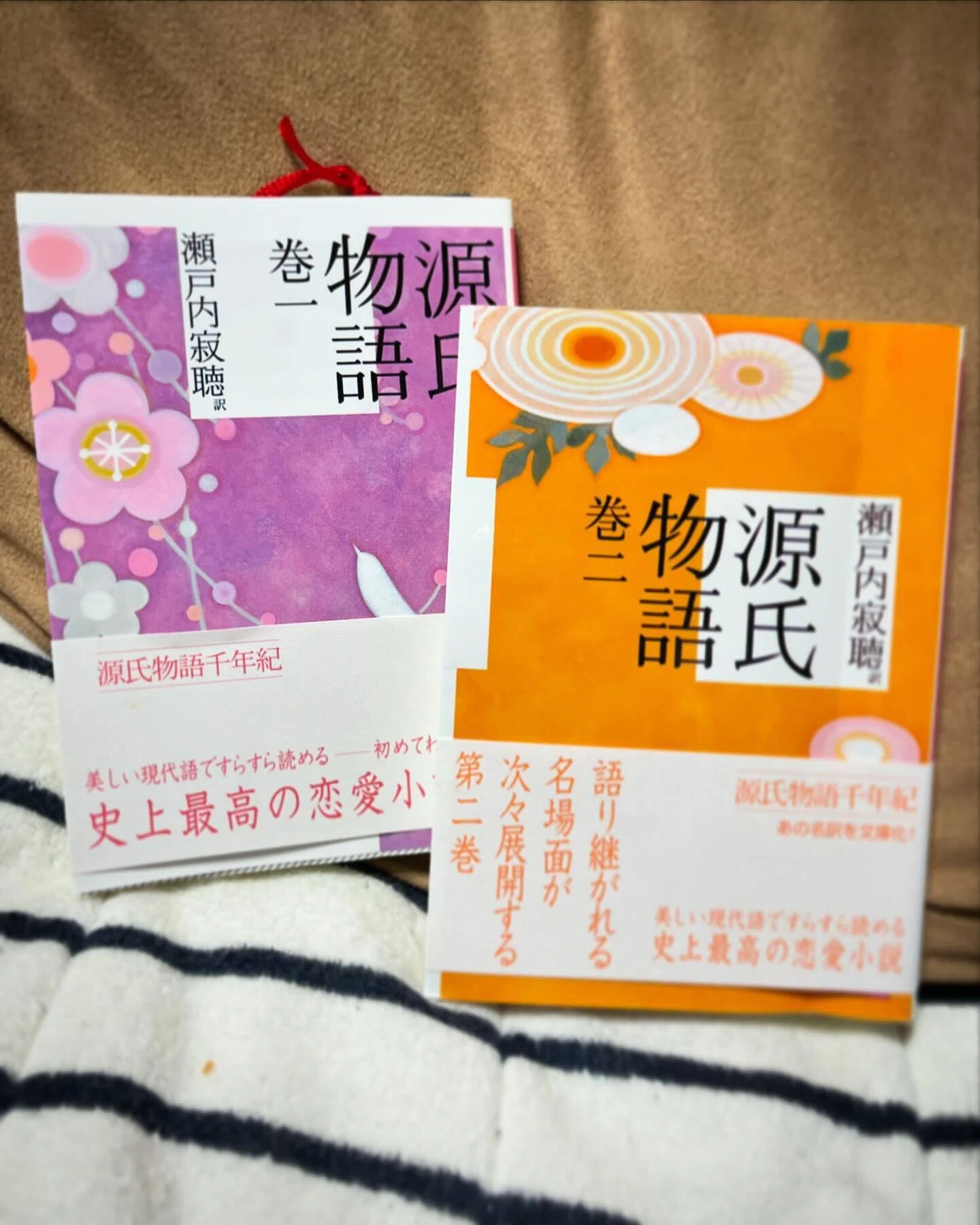源氏物語」巻一～巻十 瀬戸内寂聴訳【読了】 ｜ひょうどみわこ