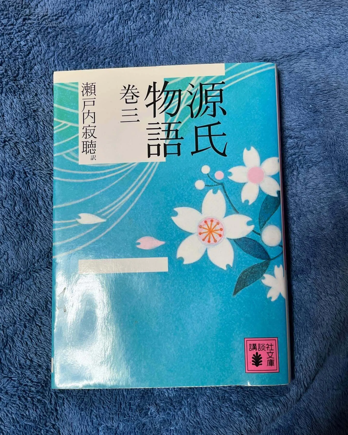 源氏物語」巻一～巻十 瀬戸内寂聴訳【読了】 ｜ひょうどみわこ