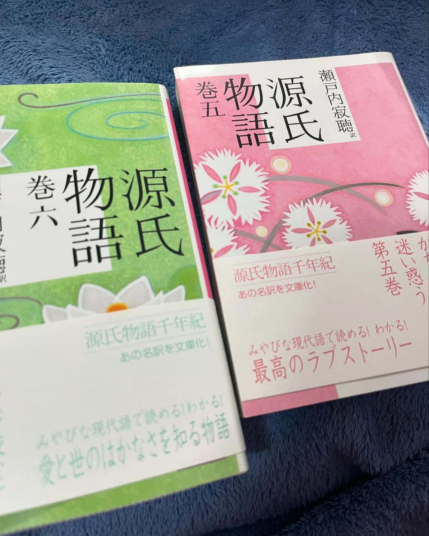 源氏物語」巻一~巻十 瀬戸内寂聴訳【読了】 |ひょうどみわこ 源氏物語」巻一~巻十 瀬戸内寂聴訳【読了】 |ひょうどみわこ