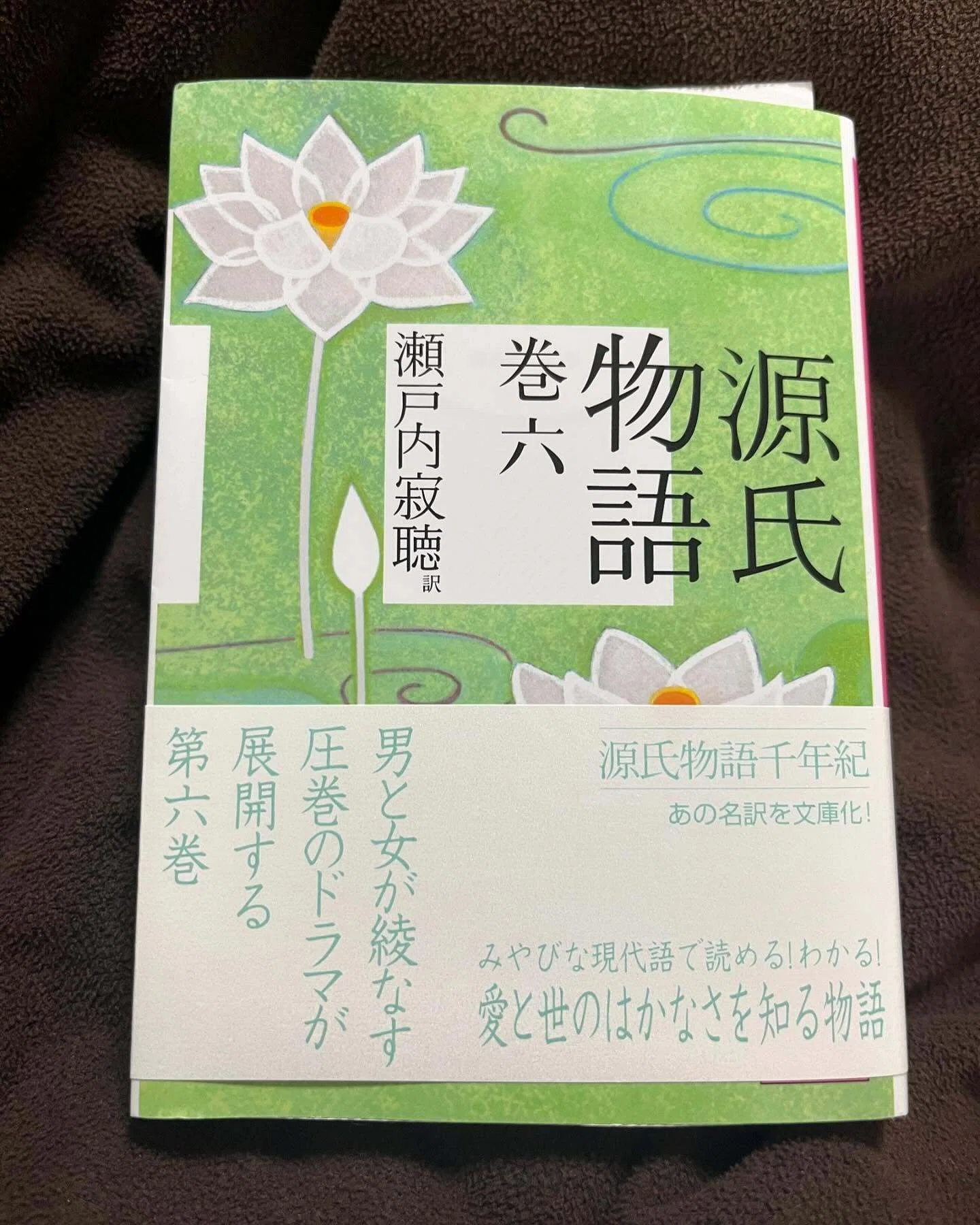 源氏物語」巻一~巻十 瀬戸内寂聴訳【読了】 |ひょうどみわこ 源氏物語」巻一~巻十 瀬戸内寂聴訳【読了】 |ひょうどみわこ