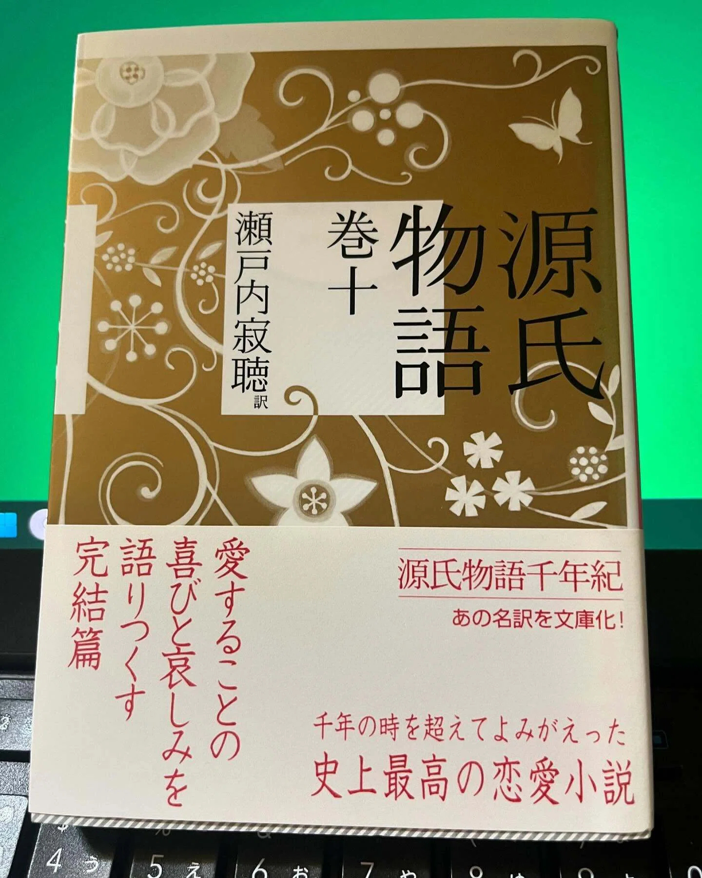 源氏物語」巻一～巻十 瀬戸内寂聴訳【読了】 ｜ひょうどみわこ