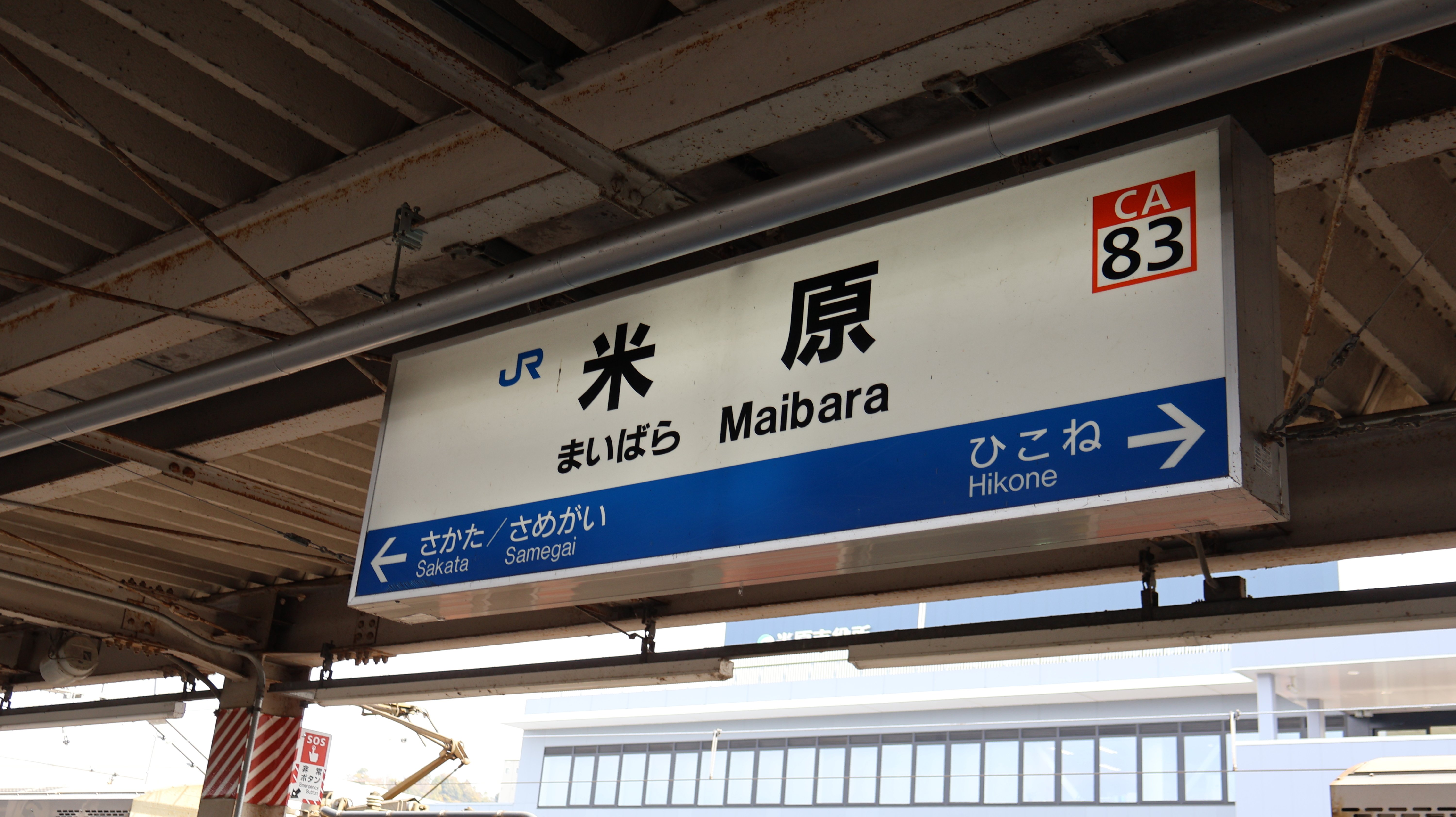 青春18切符3日間用を最大限使って、関東から中部&関西へ！！｜あだしょー