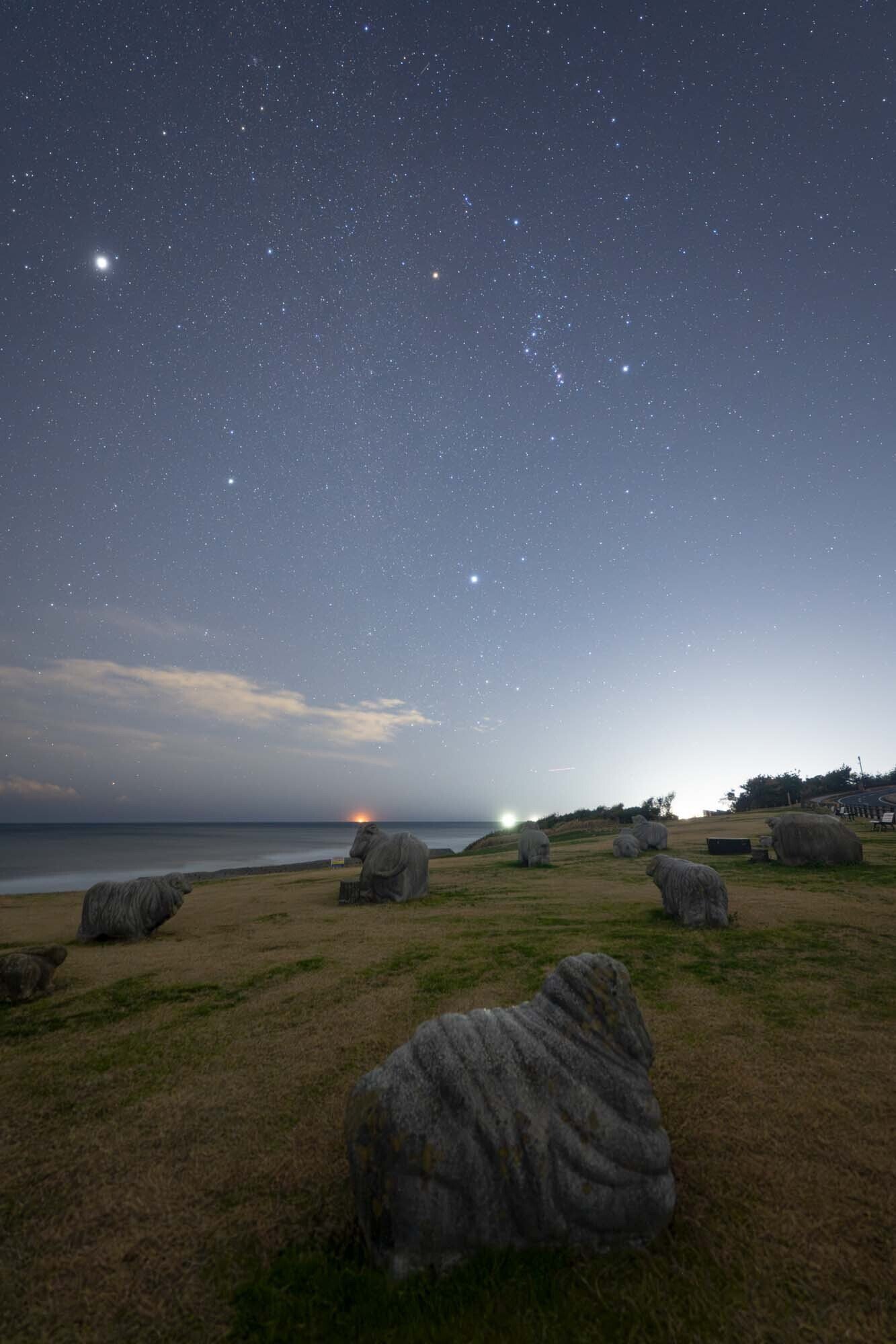 星の風景 鹿島灘海浜公園の星空｜星空写真家・「好き」を「得意」に変える案内人