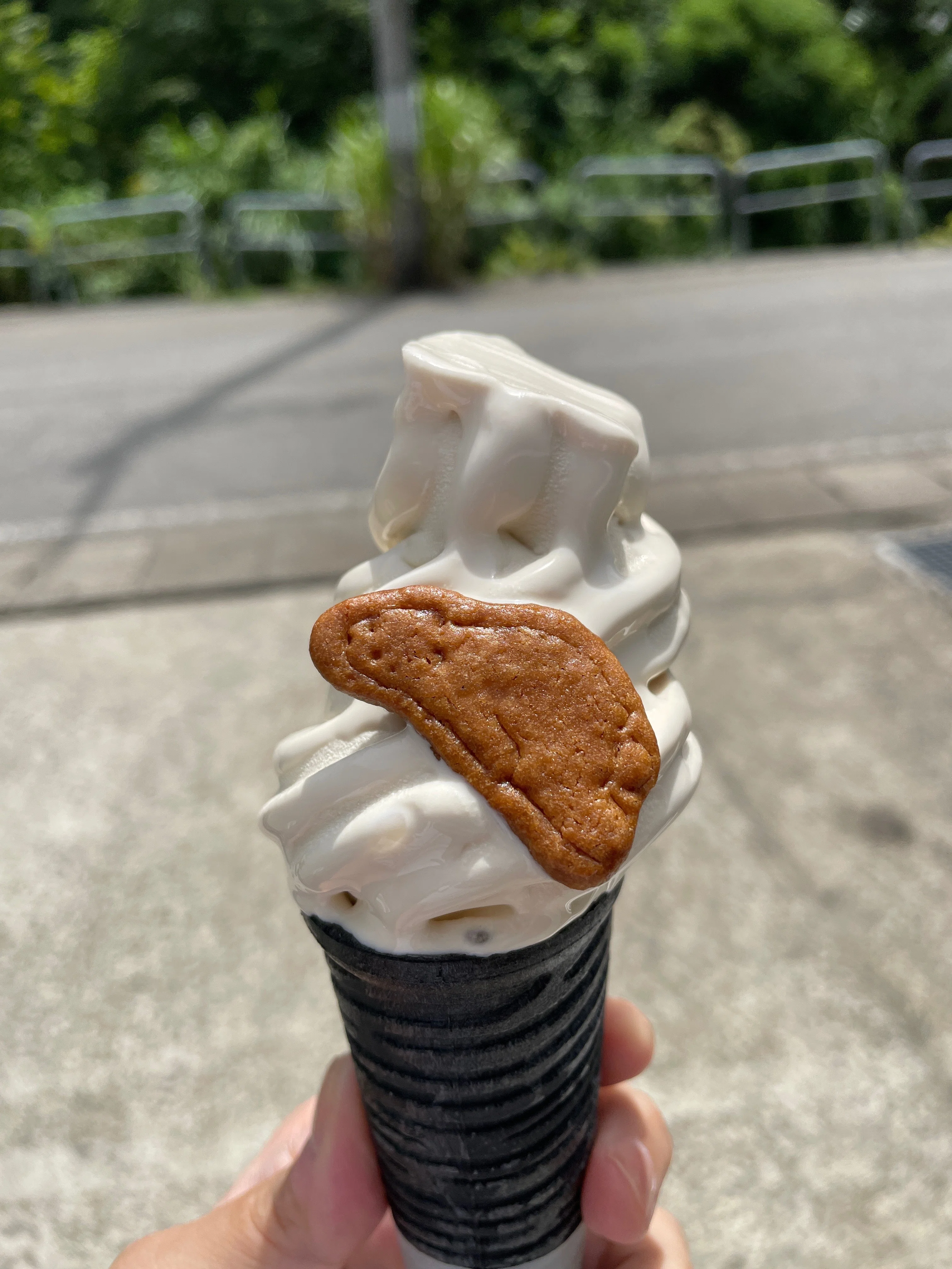 十日町市】松之山温泉で見つけた「ラム酒ソフト」。大人な味わい｜ソフ