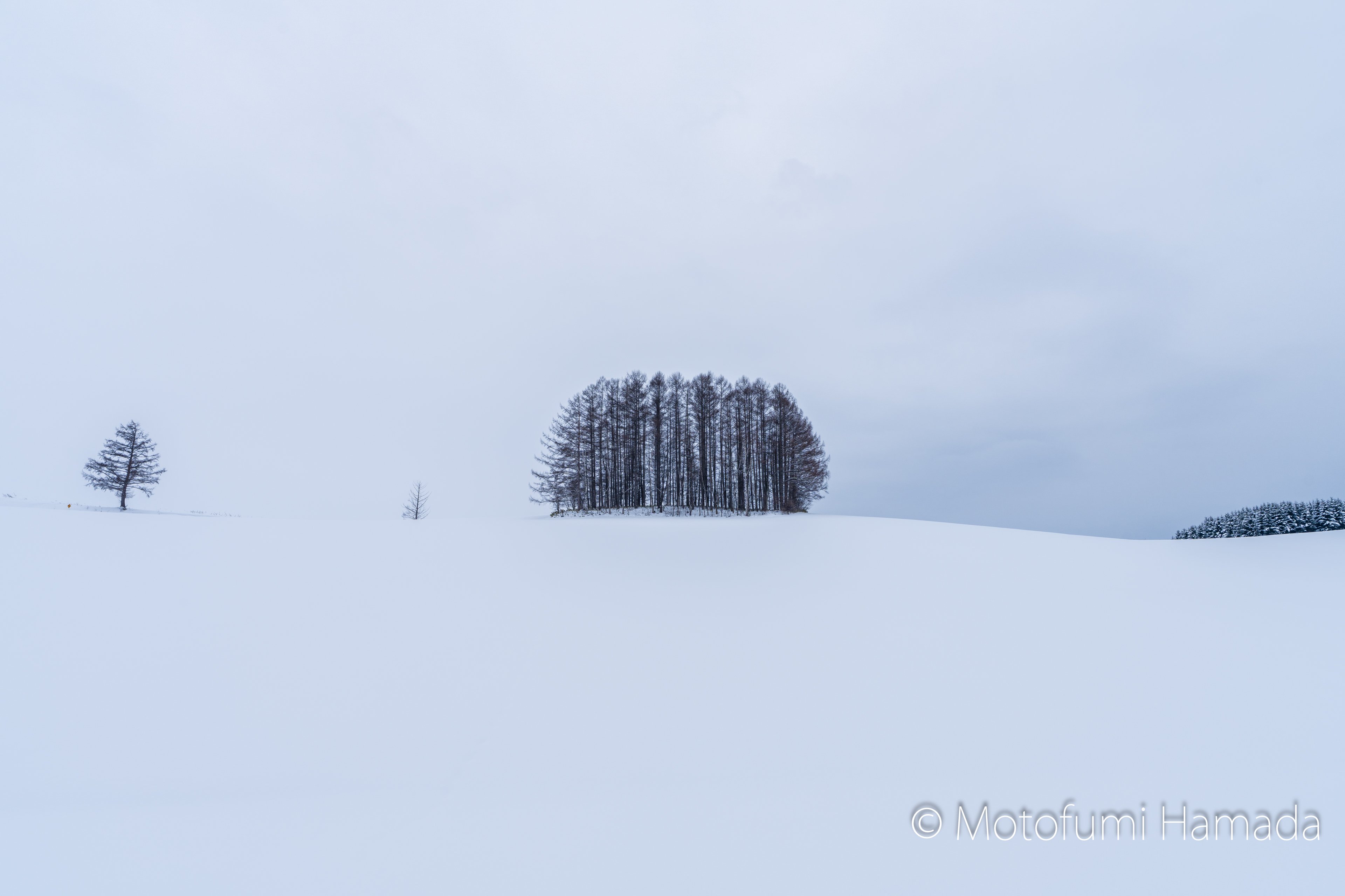 作家物　モノトーンを楽しむ　雪景色のような付下げ モノトーンの風景に魅せられて｜浜田 元史 Hamada. Motofumi