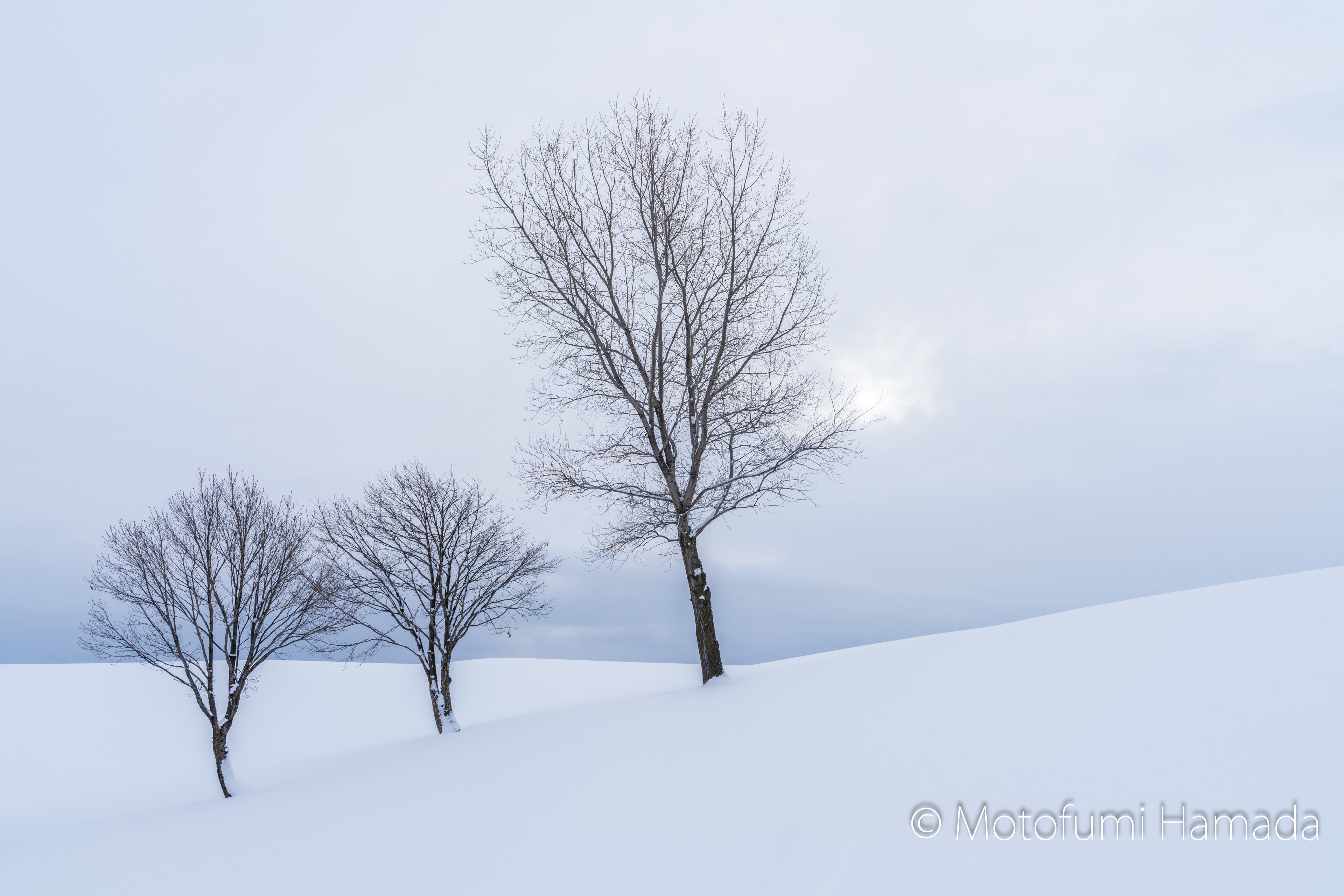 モノトーンの風景に魅せられて｜浜田 元史 Hamada. Motofumi