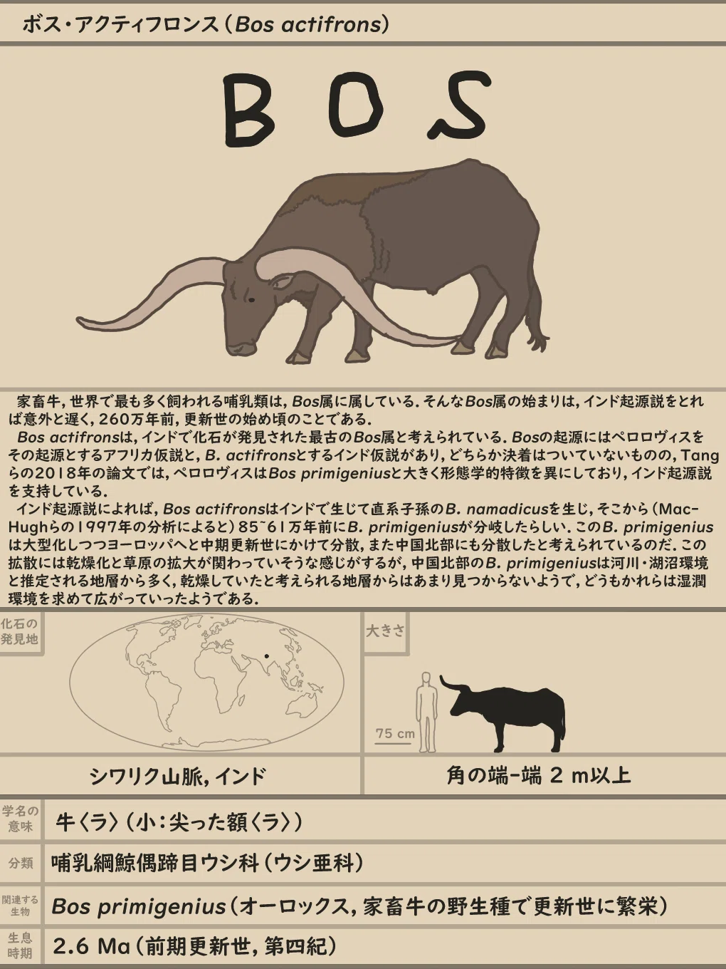 56 家畜の源流を求めて：牛編 ボス・アクティフロンス｜やんわりッ古生物