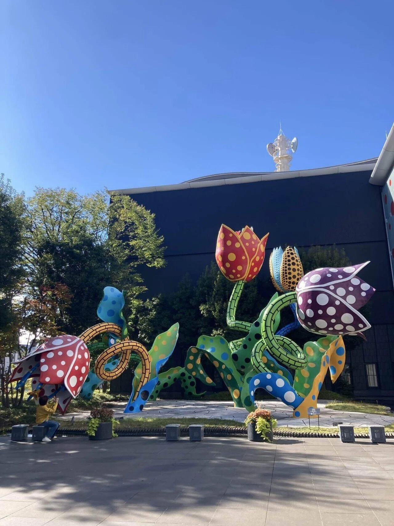 草間彌生　パンプキン　オブジェ　 松本市美術館購入 松本市美術館で「草間彌生展」 - 松本経済新聞