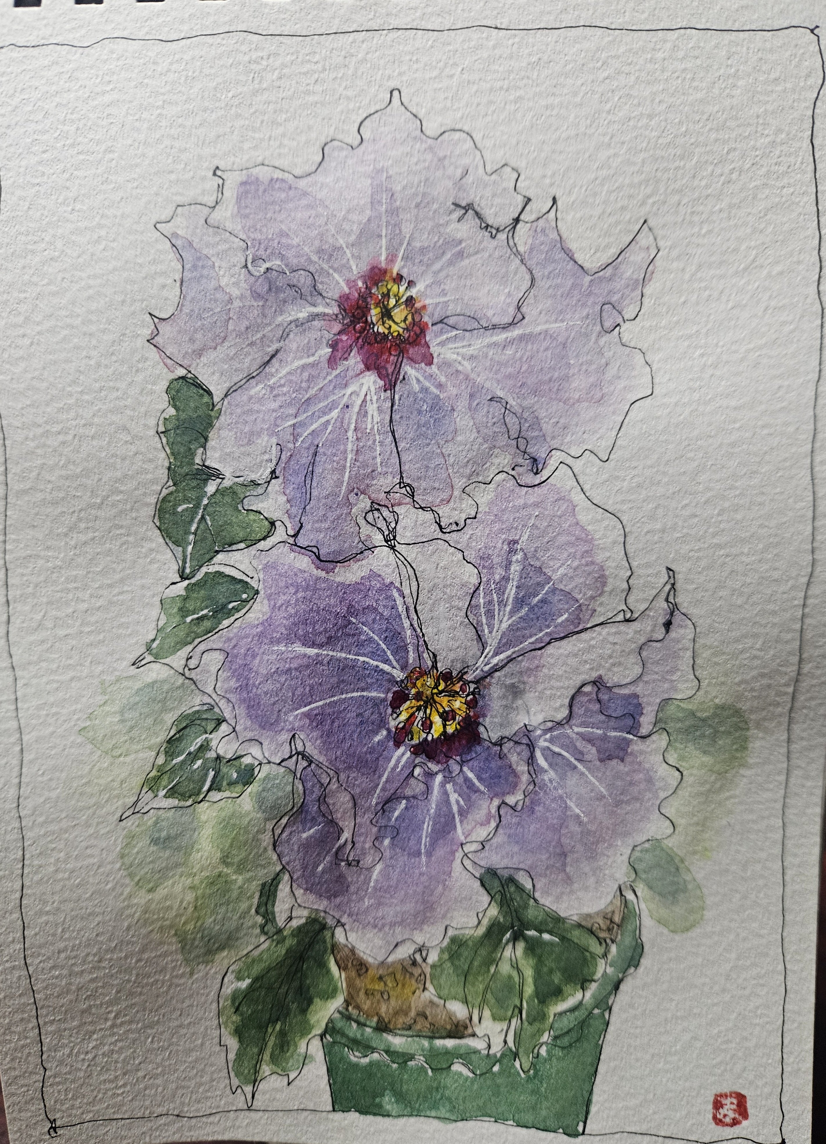 ハイビスカス ケイト〜*｜marikon*