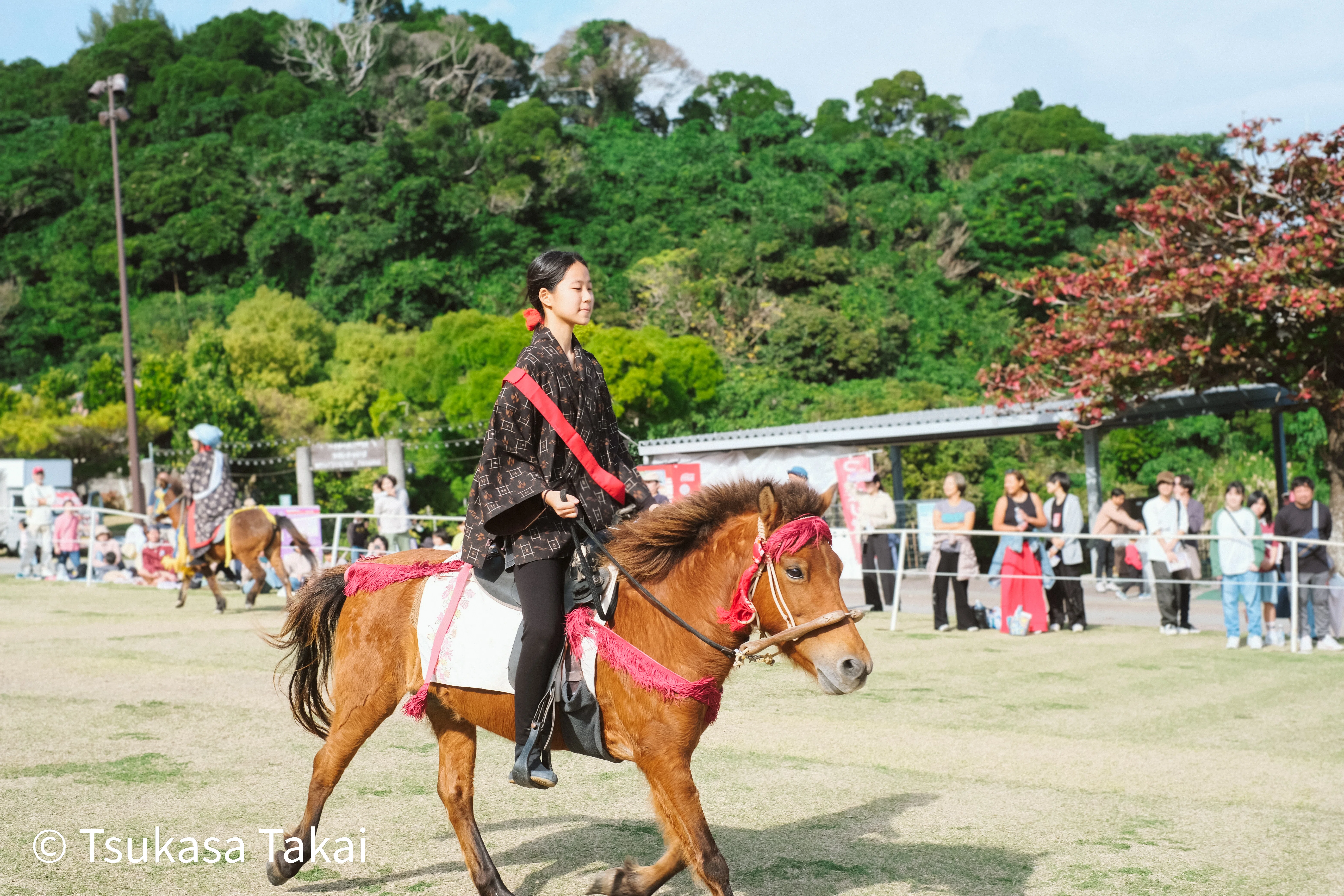 沖縄伝統競馬 ンマハラシー と 乗馬体験｜沖縄こどもの国｜高井司