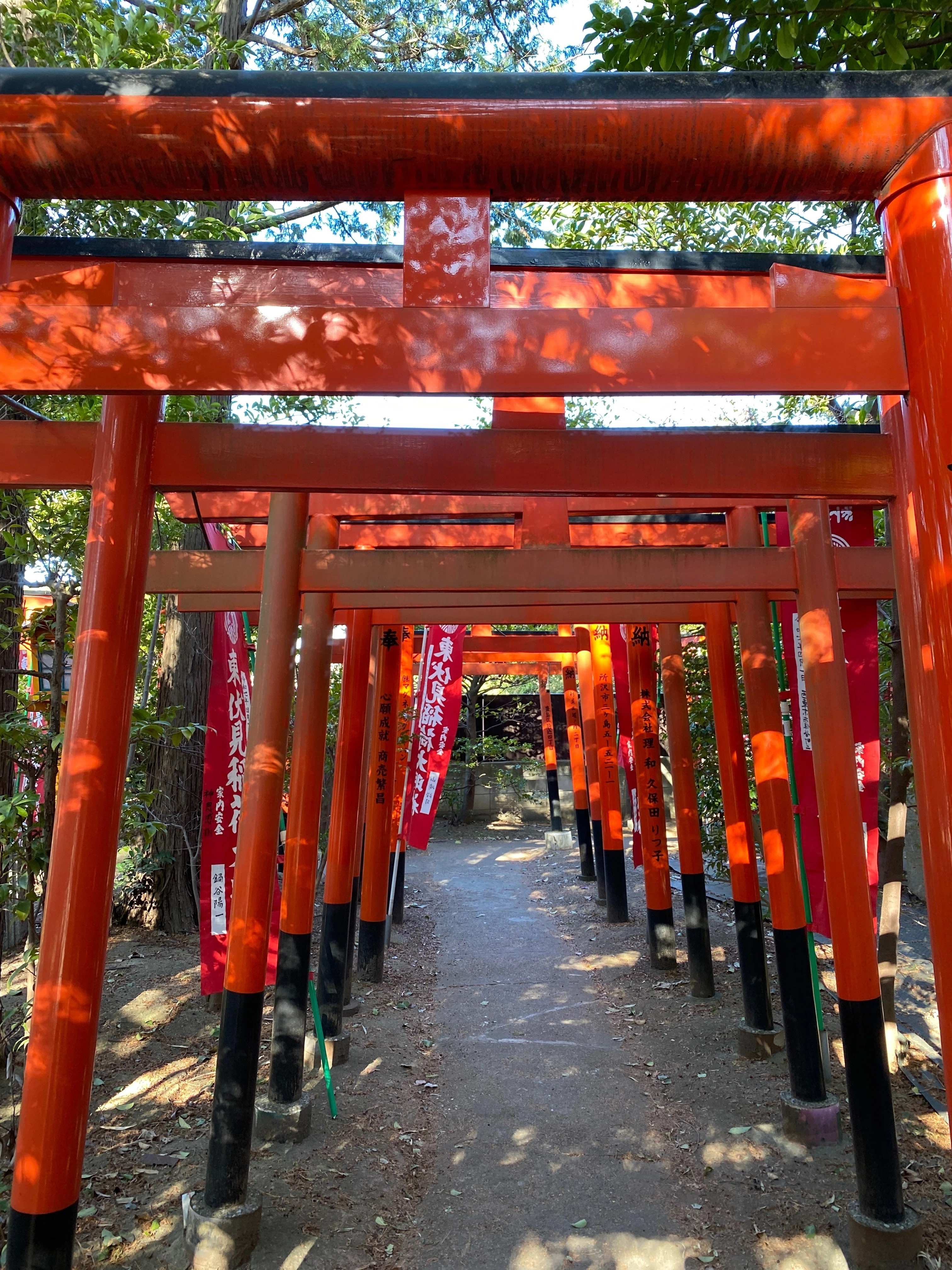2026年は○○神社が鍵｜yukasuke