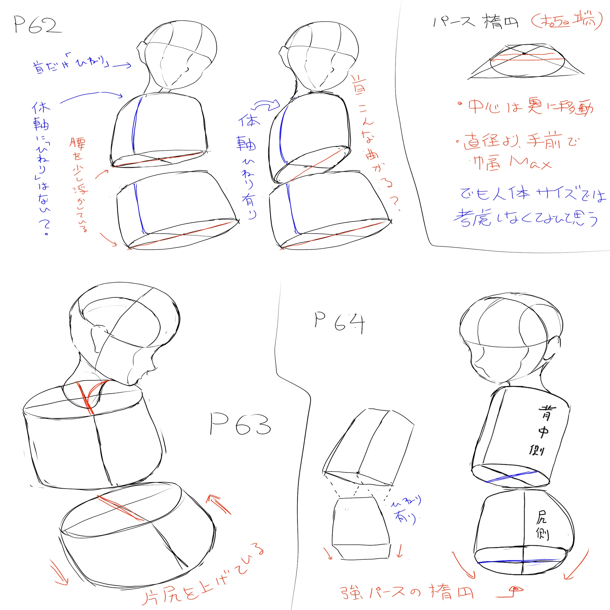 イラスト練習 第34週】基礎：ブロック素体2｜柳澤＠イラスト練習中！