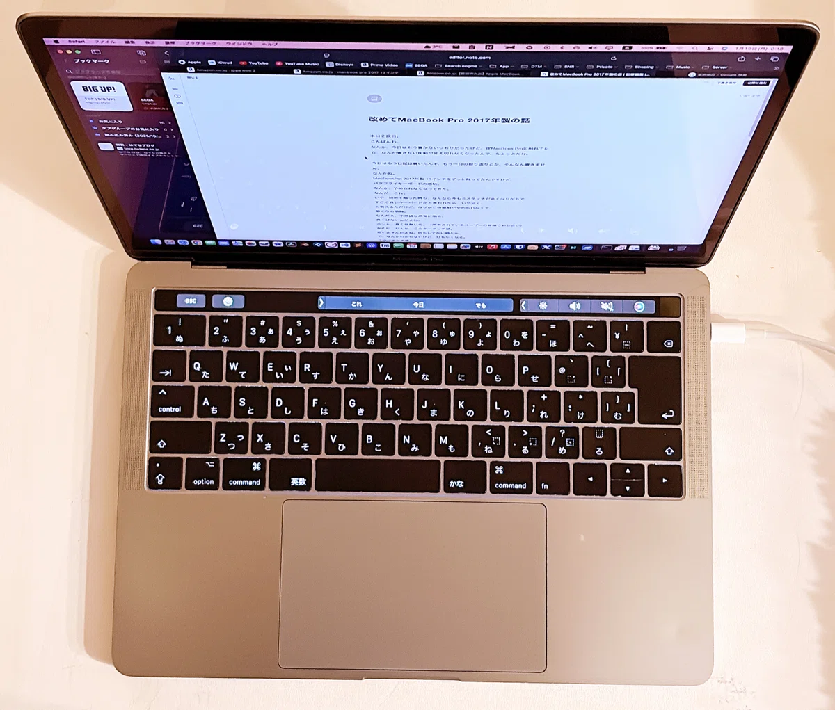 改めてMacBook Pro 2017年製の話｜Dapinkoの庭 〜ガジェット談話〜
