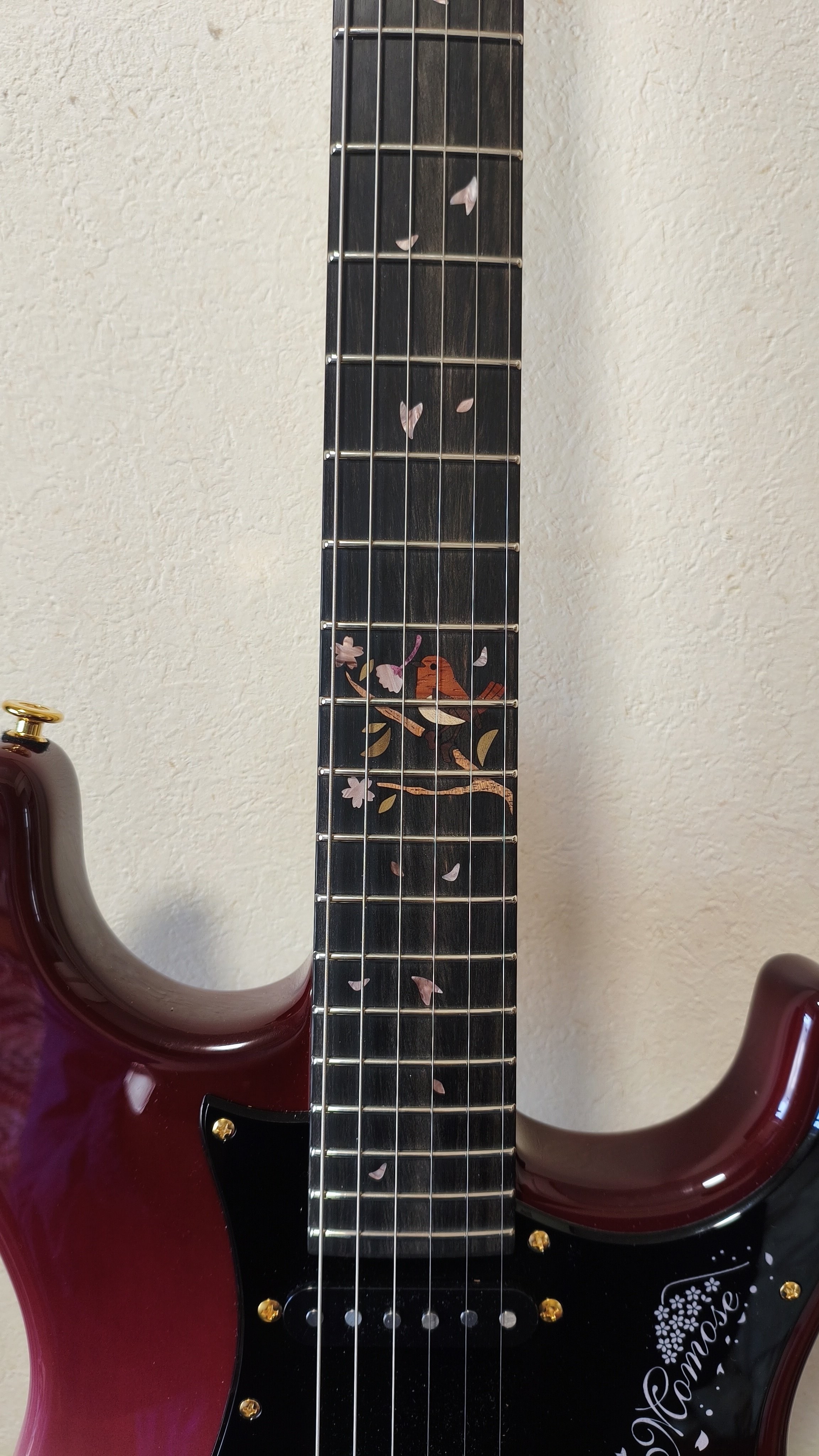 楽器紹介 第9弾 Momose 吉野千本桜 ストラトタイプ｜おつまみ ギター