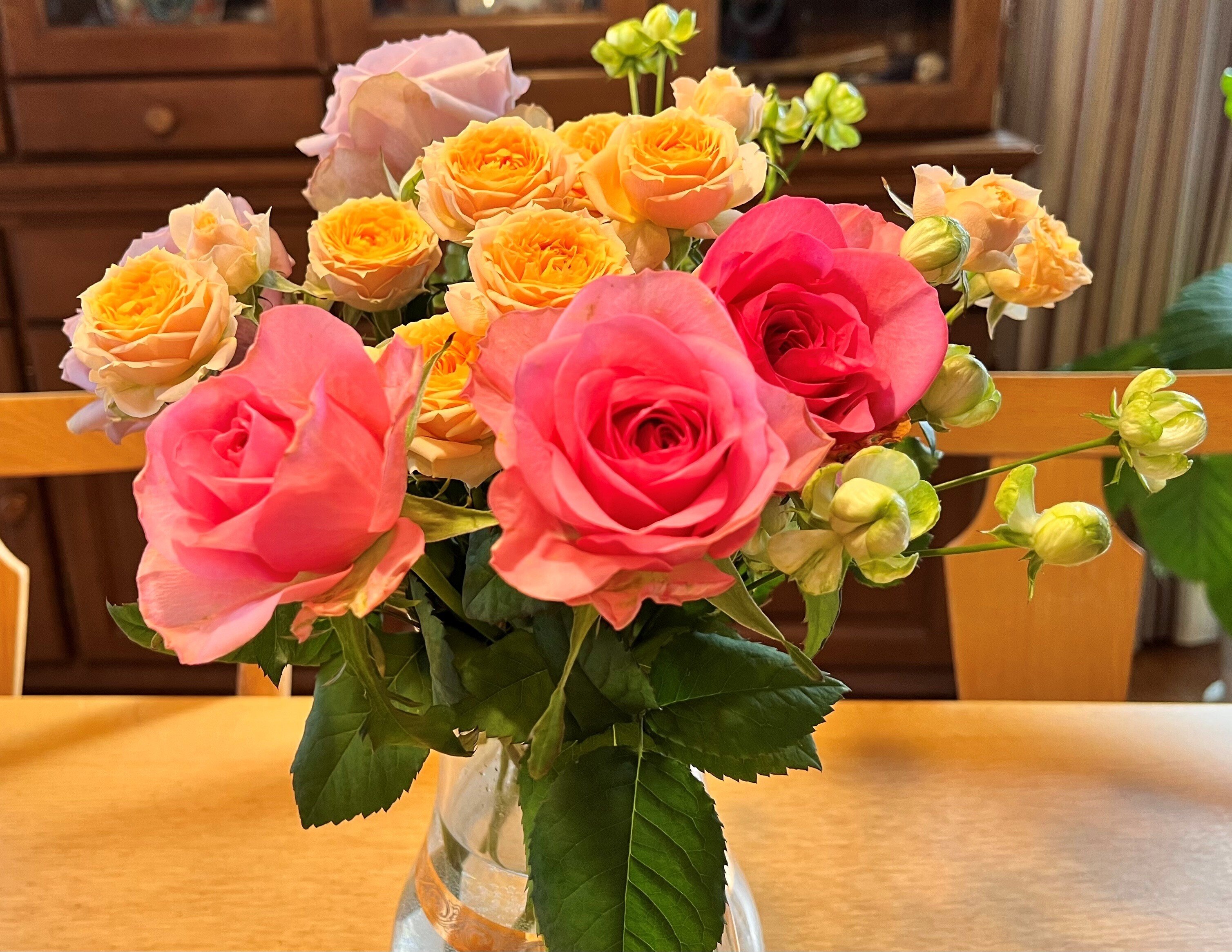 今日の1枚（2026/1/19）｜Chikako