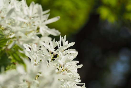 木俣修　短歌　短冊 若山牧水歌集 木俣修・編 (旺文社文庫) | タイムカプセル
