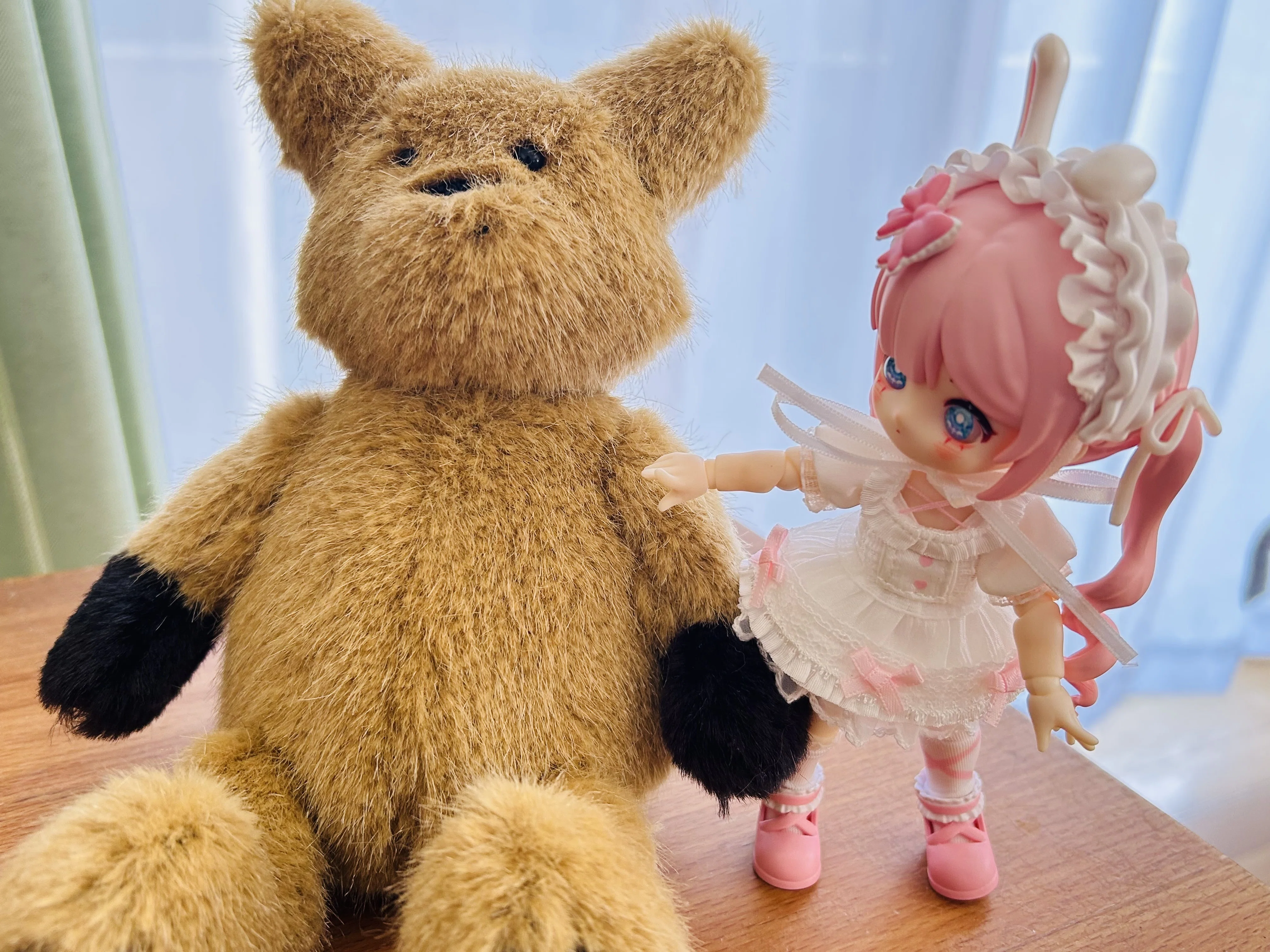 沼のほとりのブラインドドール！新しい子をお迎えしました！｜かんなねこ