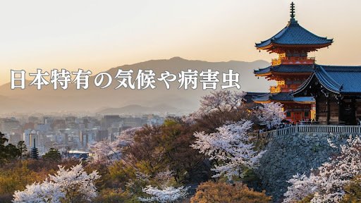 日本特有の気候や病害虫