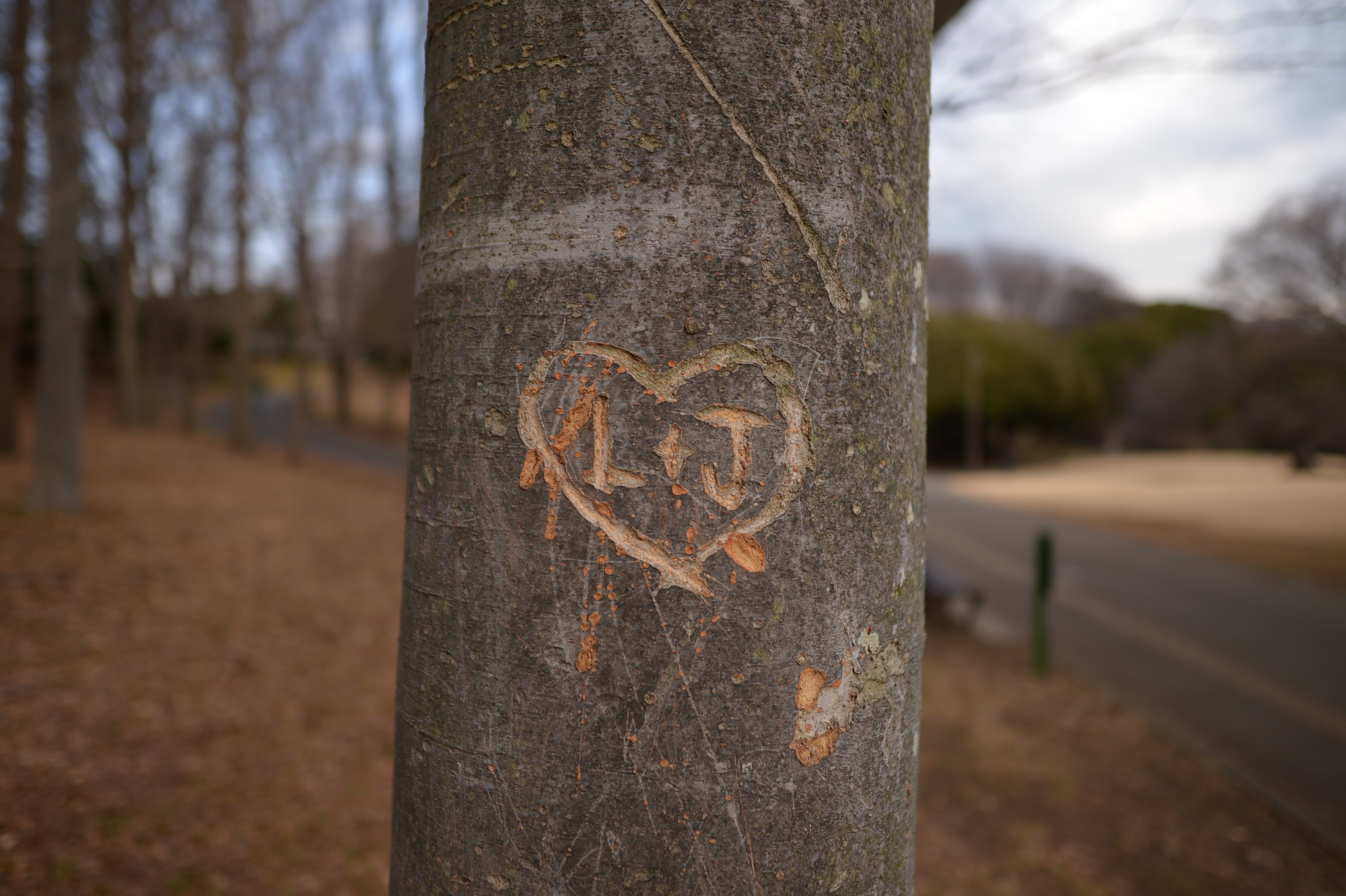 2012年の名機Nikon D4 vs 2026年の最新スマホOPPO Find X9。撮り比べて