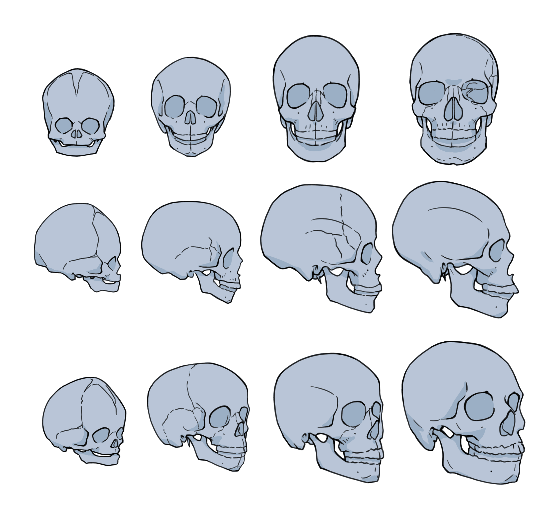 目の高さ」の成長による変化｜畳（atelier Loop）