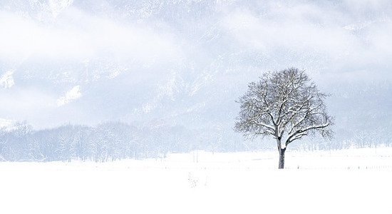 短歌) 冬こそ読みたい、木俣修の世界｜樹山 瞳