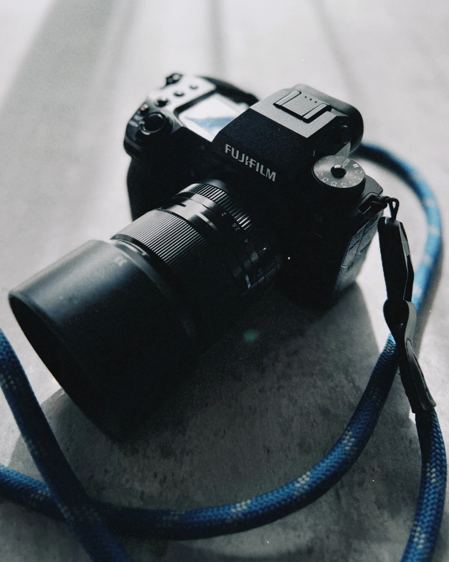 FUJIFILM X-H2Sを約4ヶ月使い込んでみて｜猫写真家 あおいとり