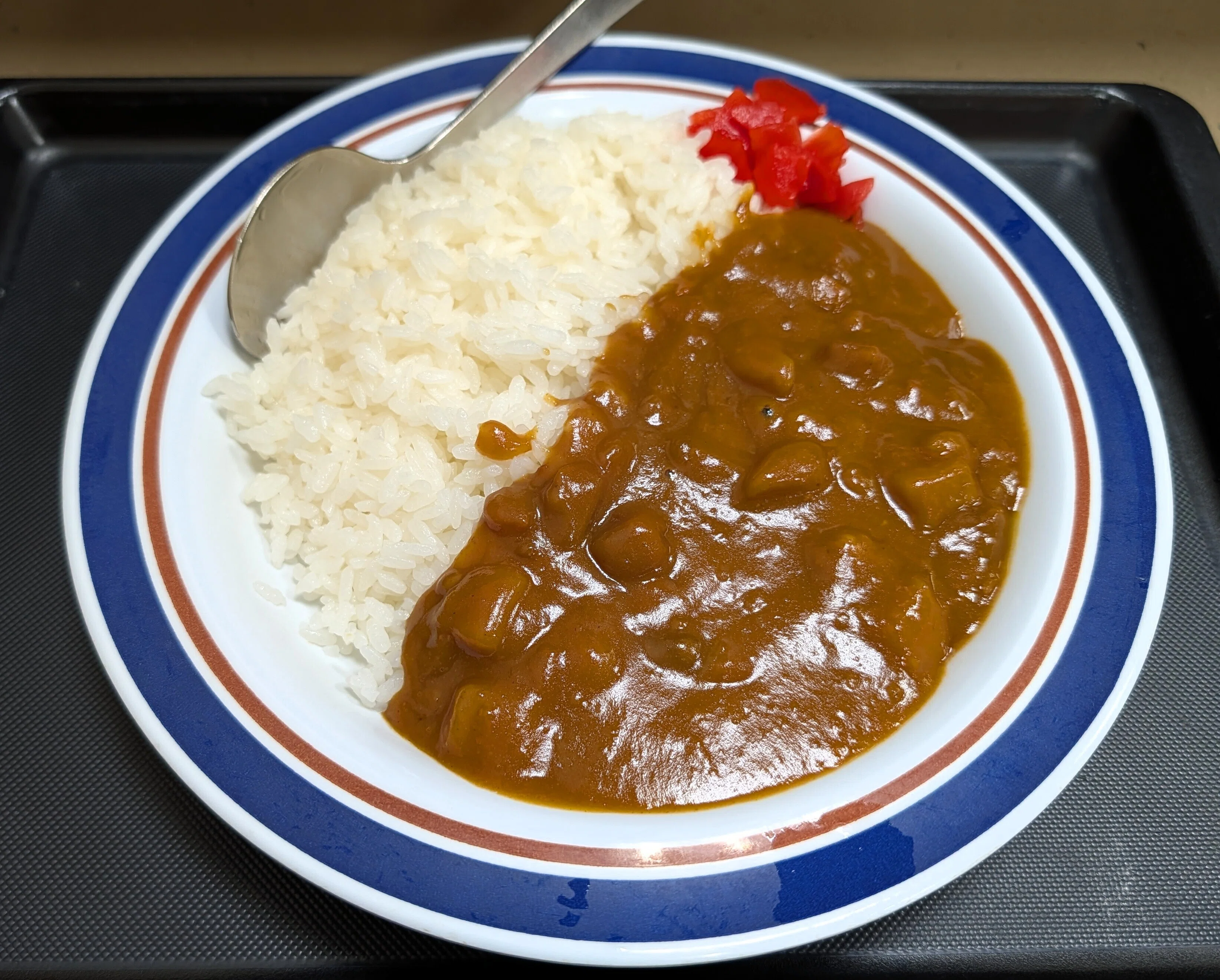 東京で「カレーライス」食べ歩き➁／2026年｜菅野ノリヒコ