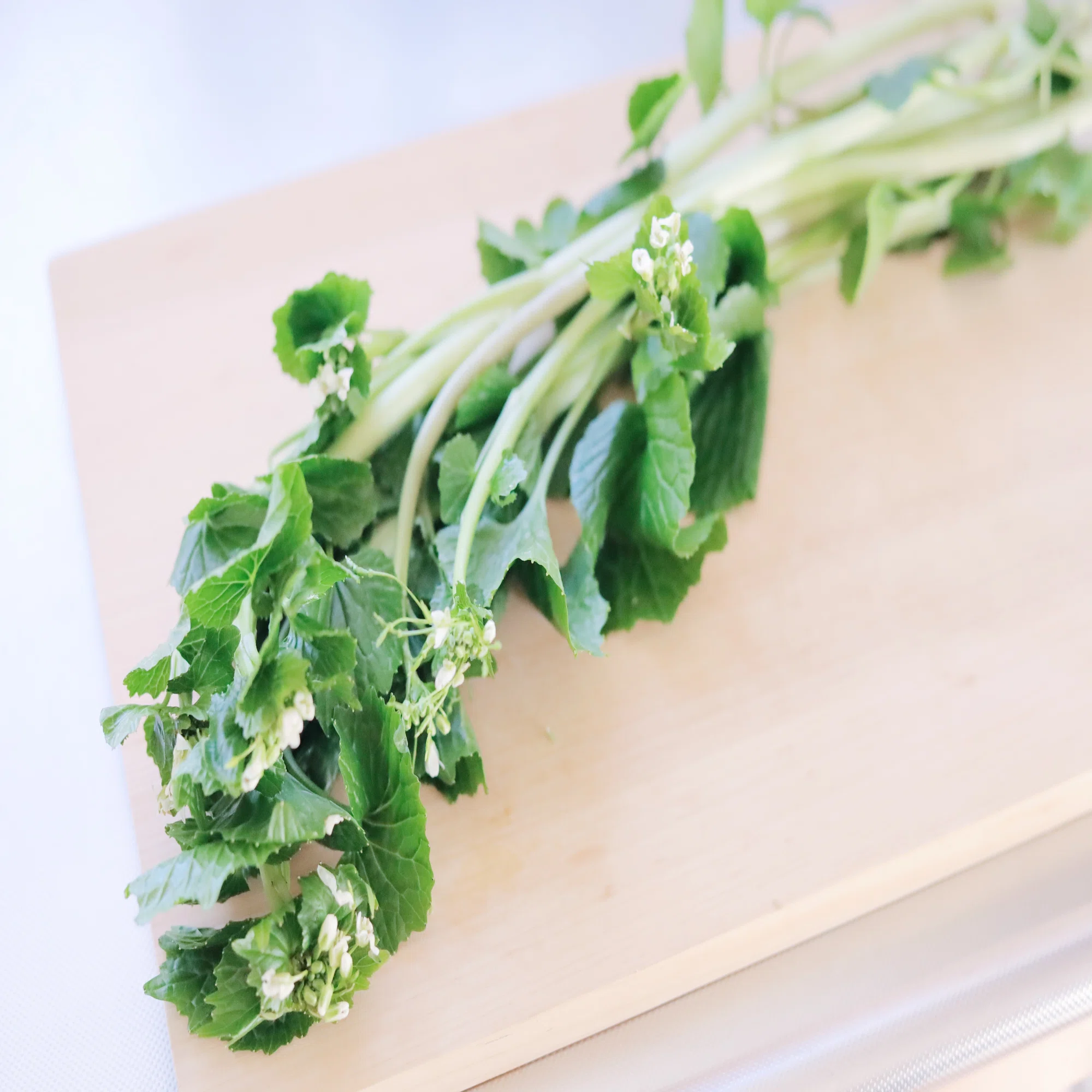 爽やかな辛味でご飯がすすむ『花わさびの醤油漬け』の作り方｜左近榮梨 