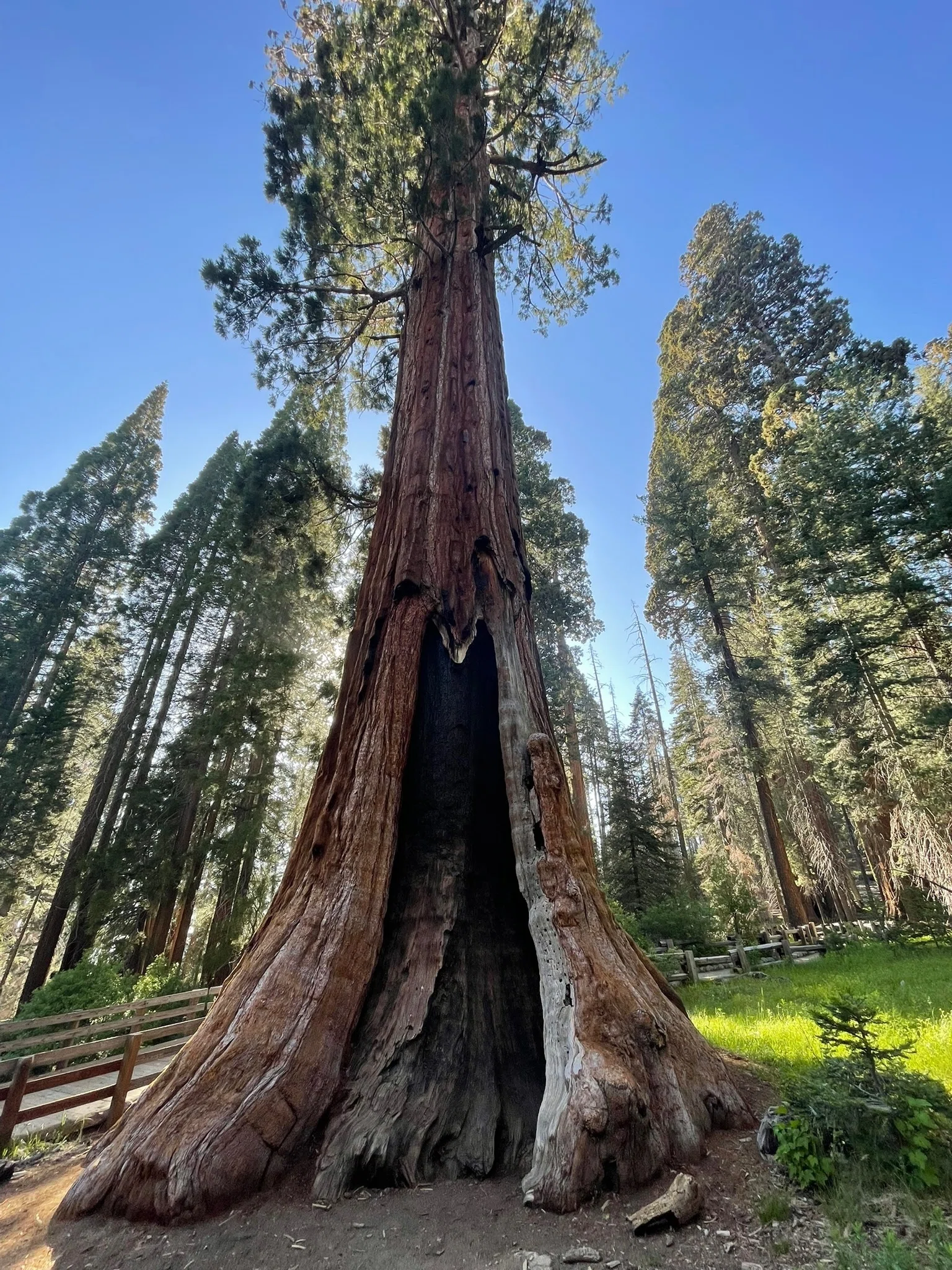 セコイア＆キングズキャニオン国立公園【Sequoia National Park