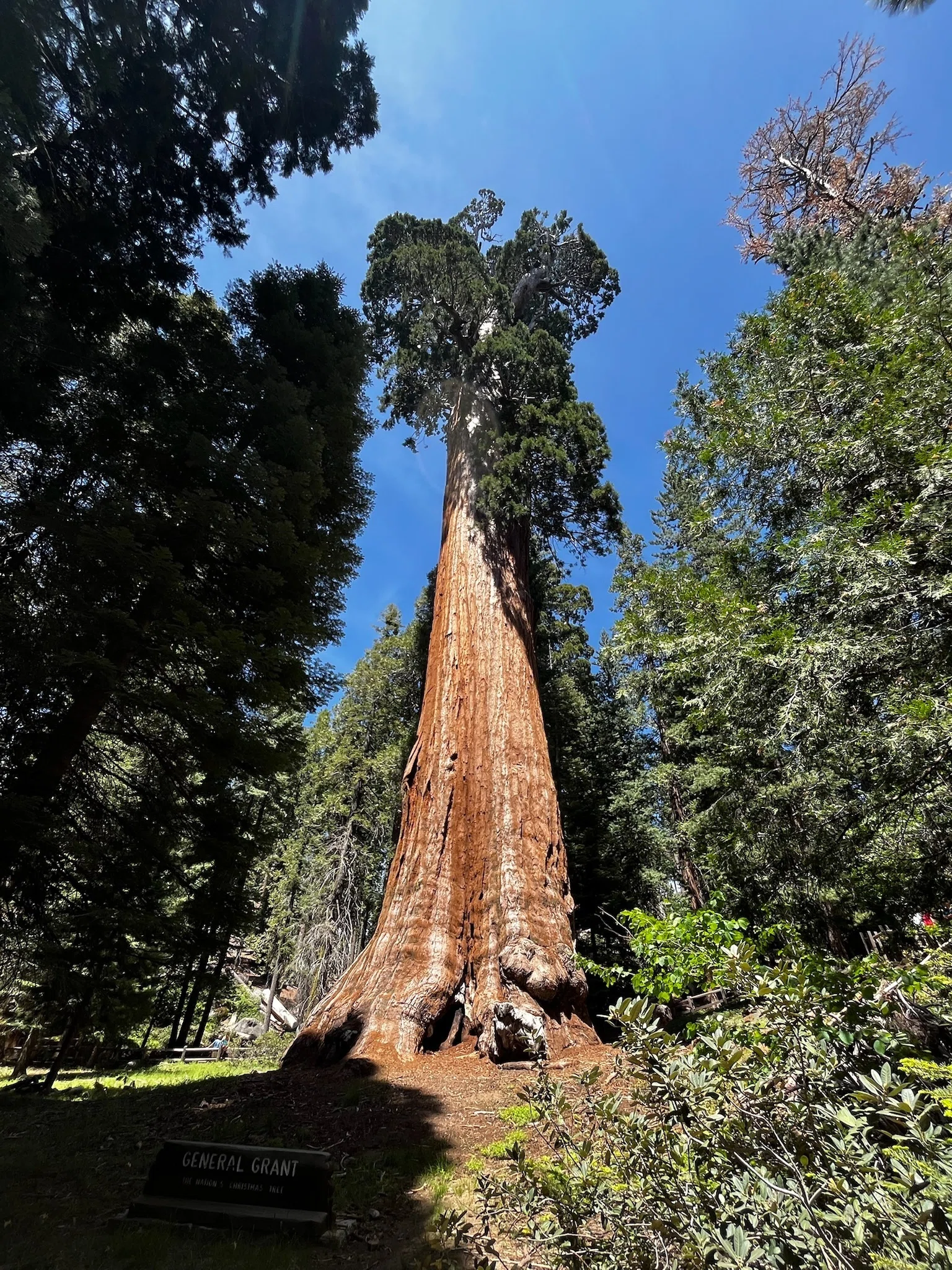 セコイア＆キングズキャニオン国立公園【Sequoia National Park
