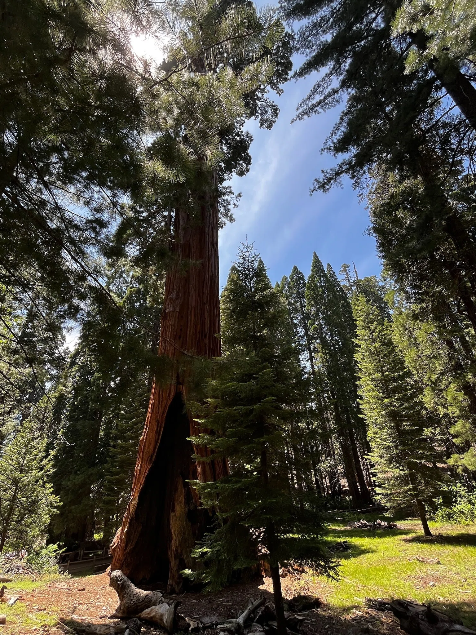 セコイア＆キングズキャニオン国立公園【Sequoia National Park
