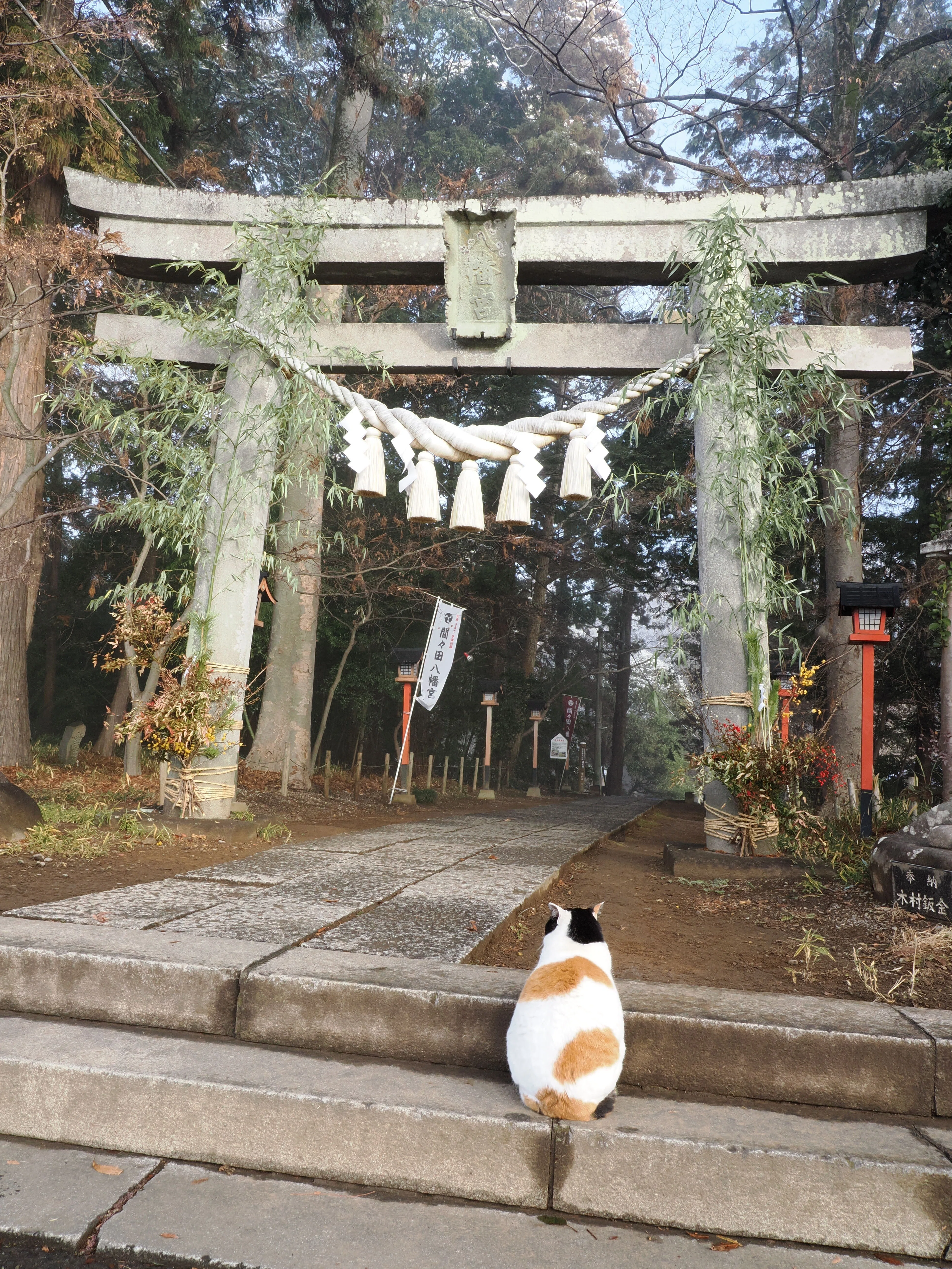 若隠居のススメ1 おまとめ専用① 家の近くにある、ちょっと大きめな神社を写真で巡る』 社員リレー#14
