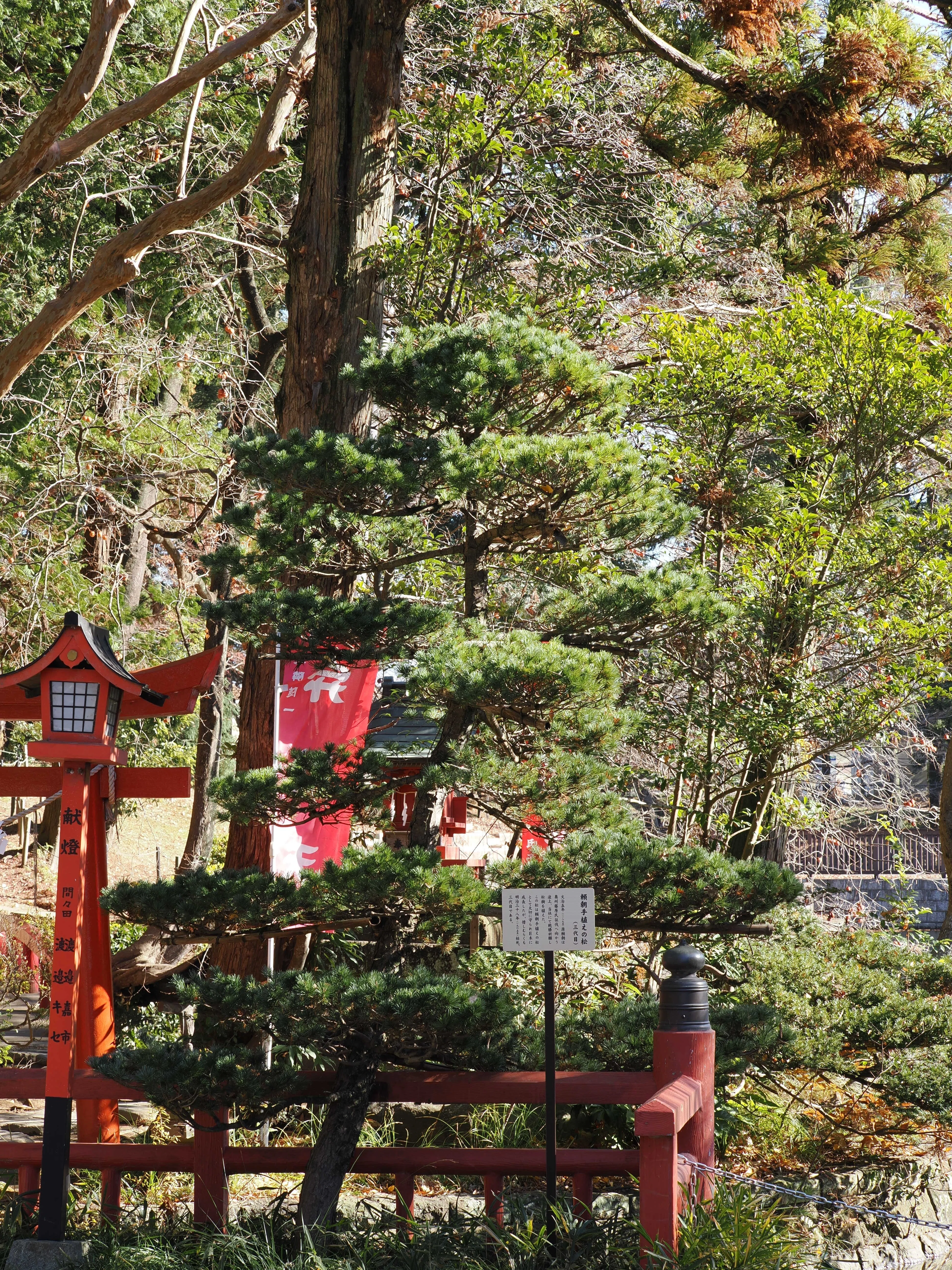 若隠居のススメ1 おまとめ専用① 家の近くにある、ちょっと大きめな神社を写真で巡る』 社員リレー#14
