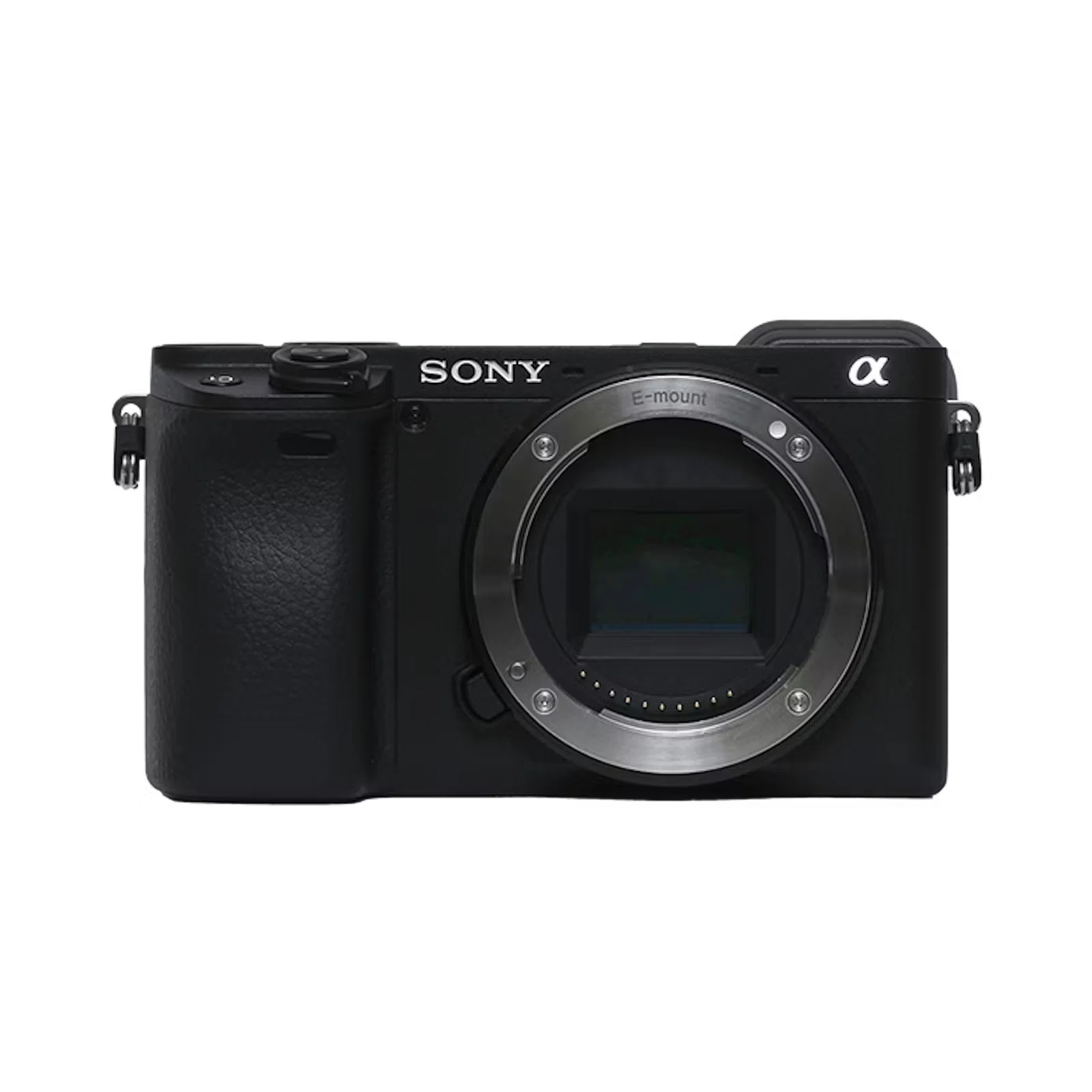 SONY SONYのおすすめカメラ13選！専門店スタッフがミラーレス一眼から