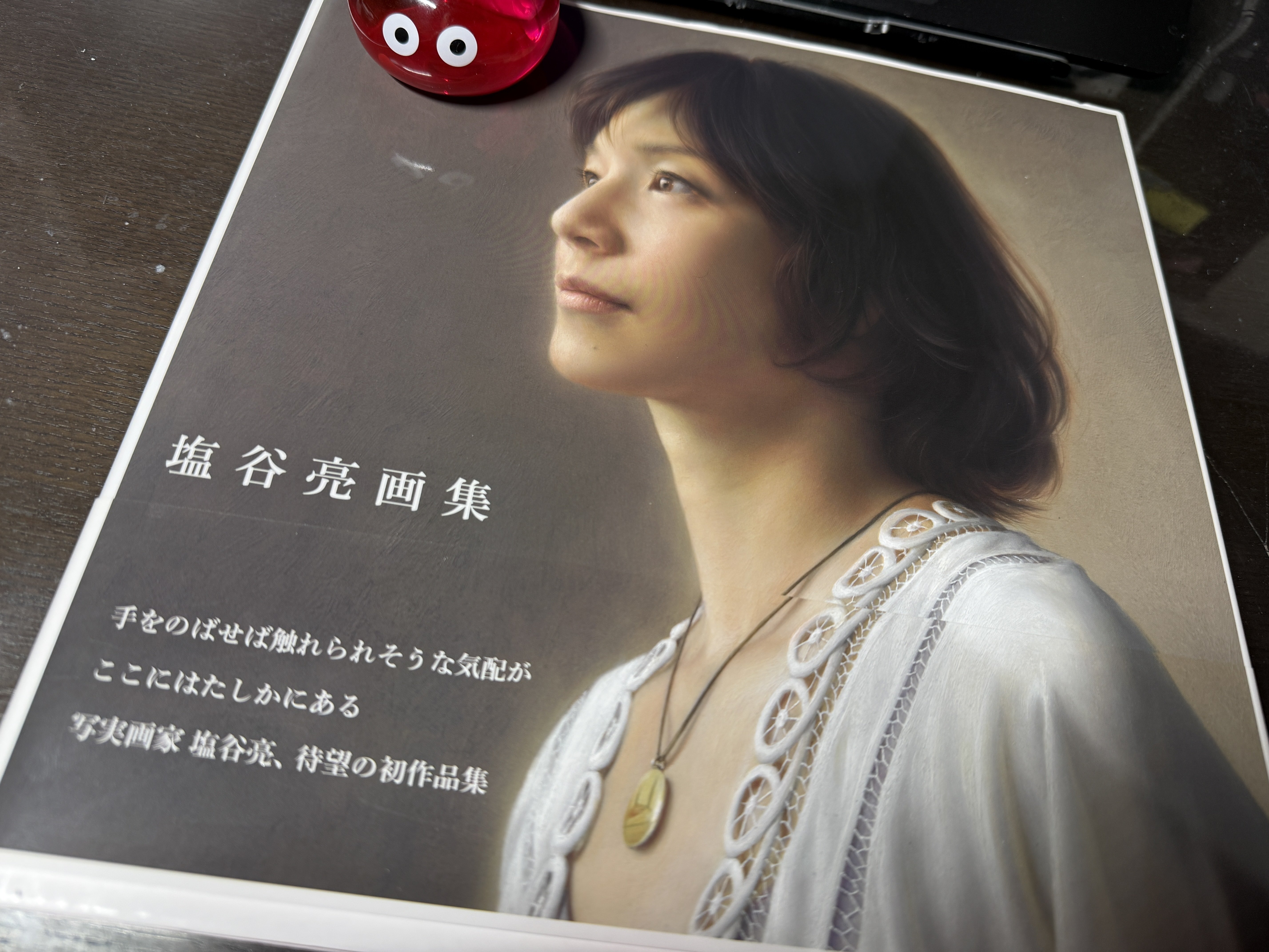 塩谷亮御大の画集｜シライワマサトモ