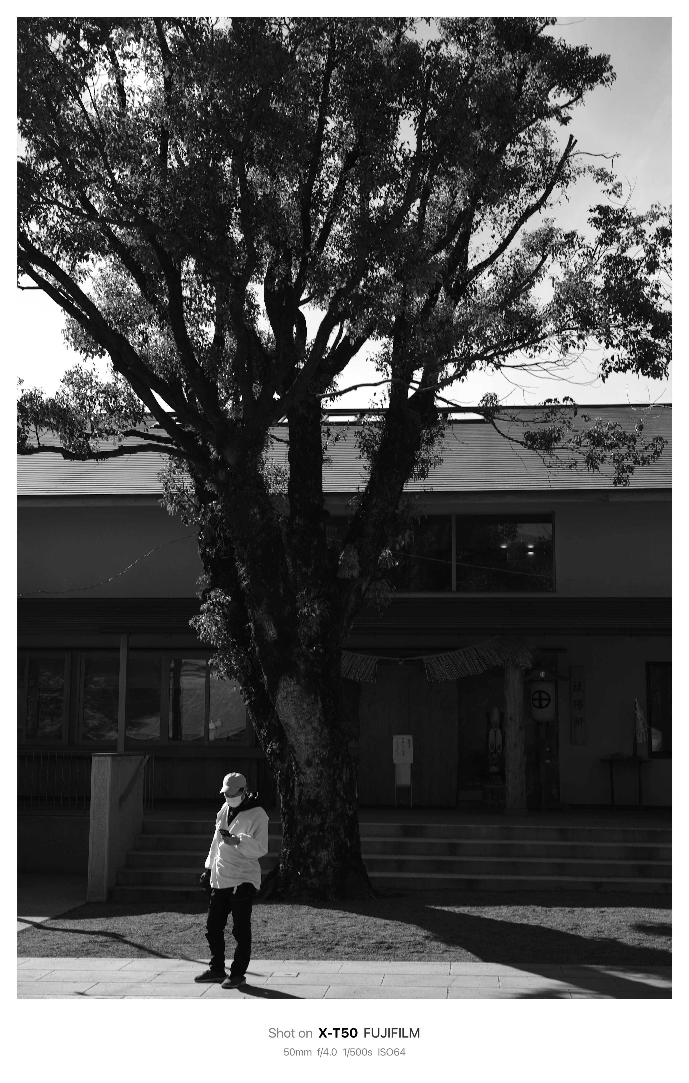 作例】XF33mmF1.4と神社にて/散歩スナップ写真｜北岡＠カメラ/写真