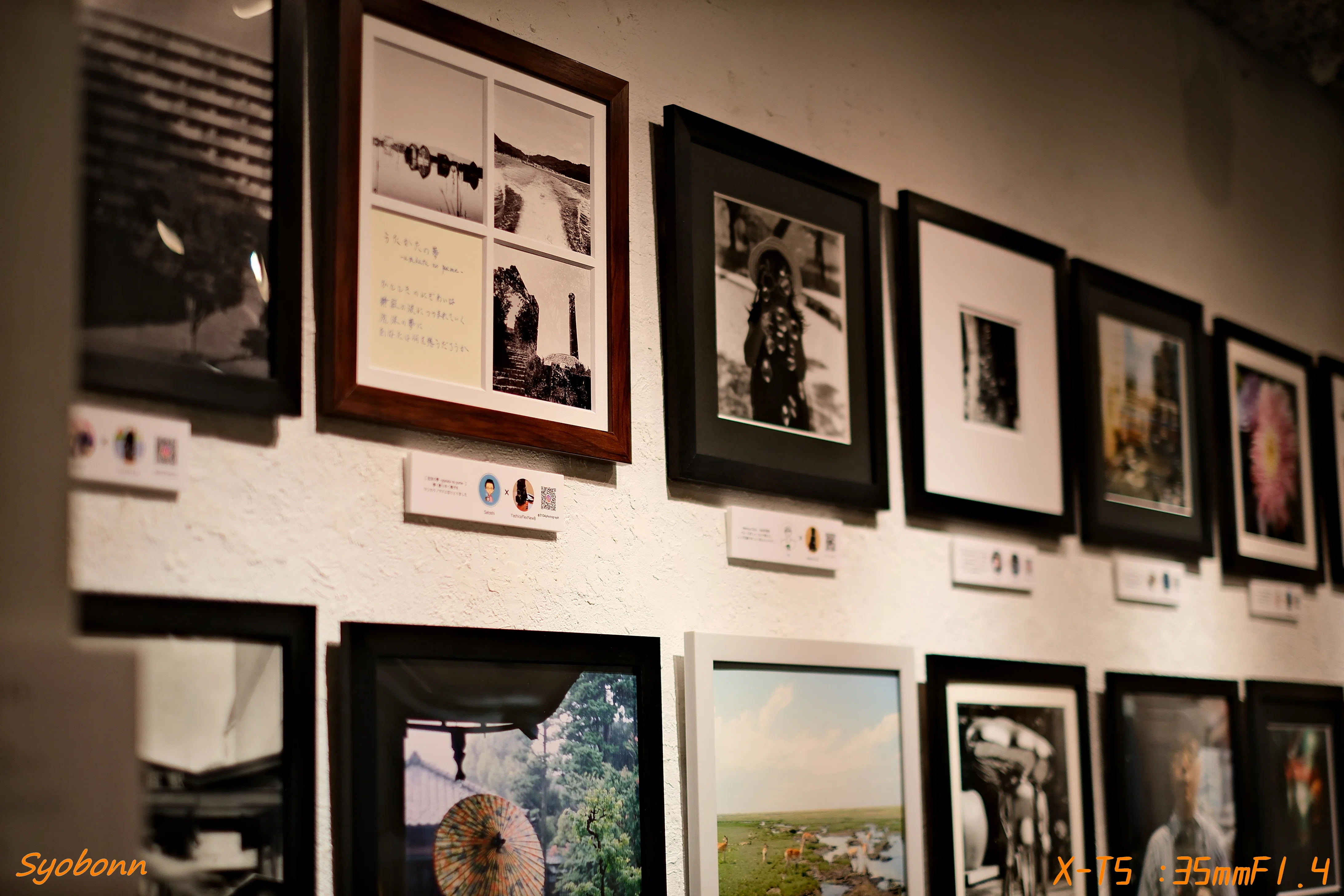 帰ってきた国産二眼レフ写真展 #173_2509｜(´・ω・｀)