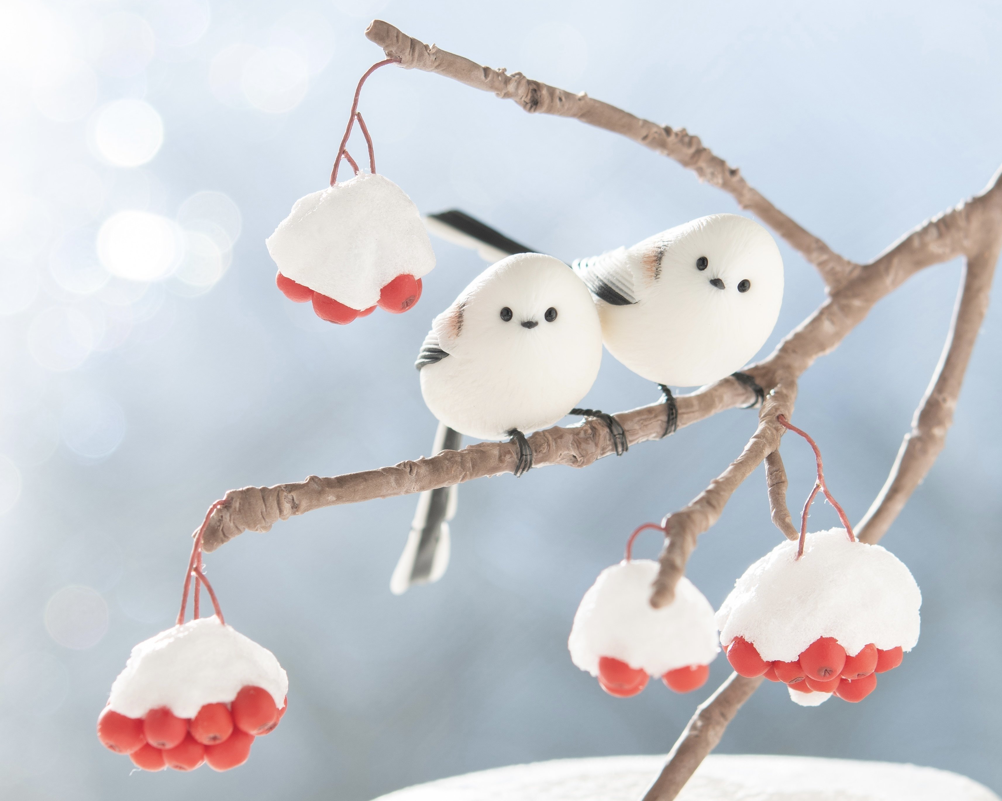 1月20日は「シマエナガの日」｜orange.sky シマエナガとその仲間達