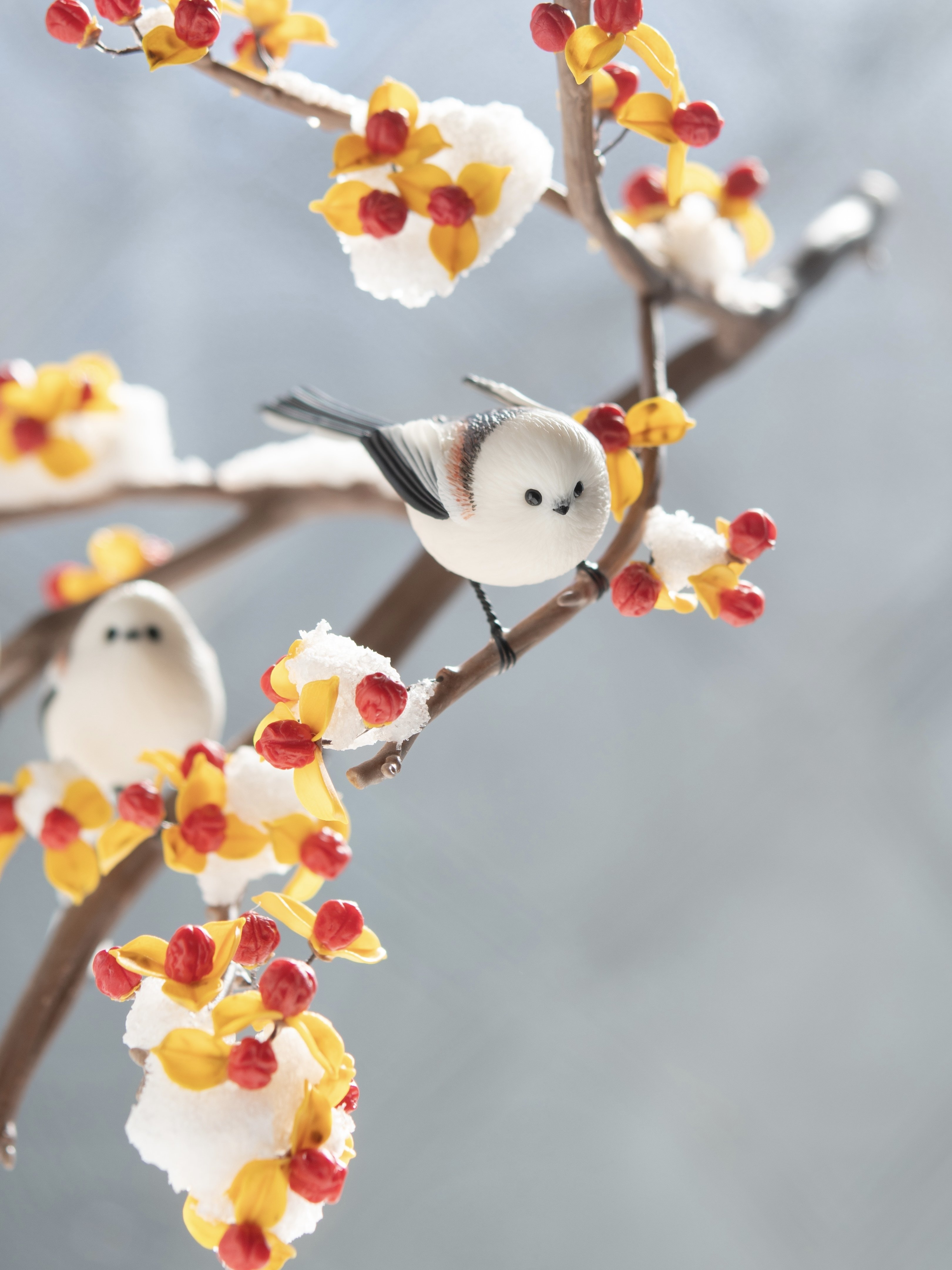 1月20日は「シマエナガの日」｜orange.sky シマエナガとその仲間達