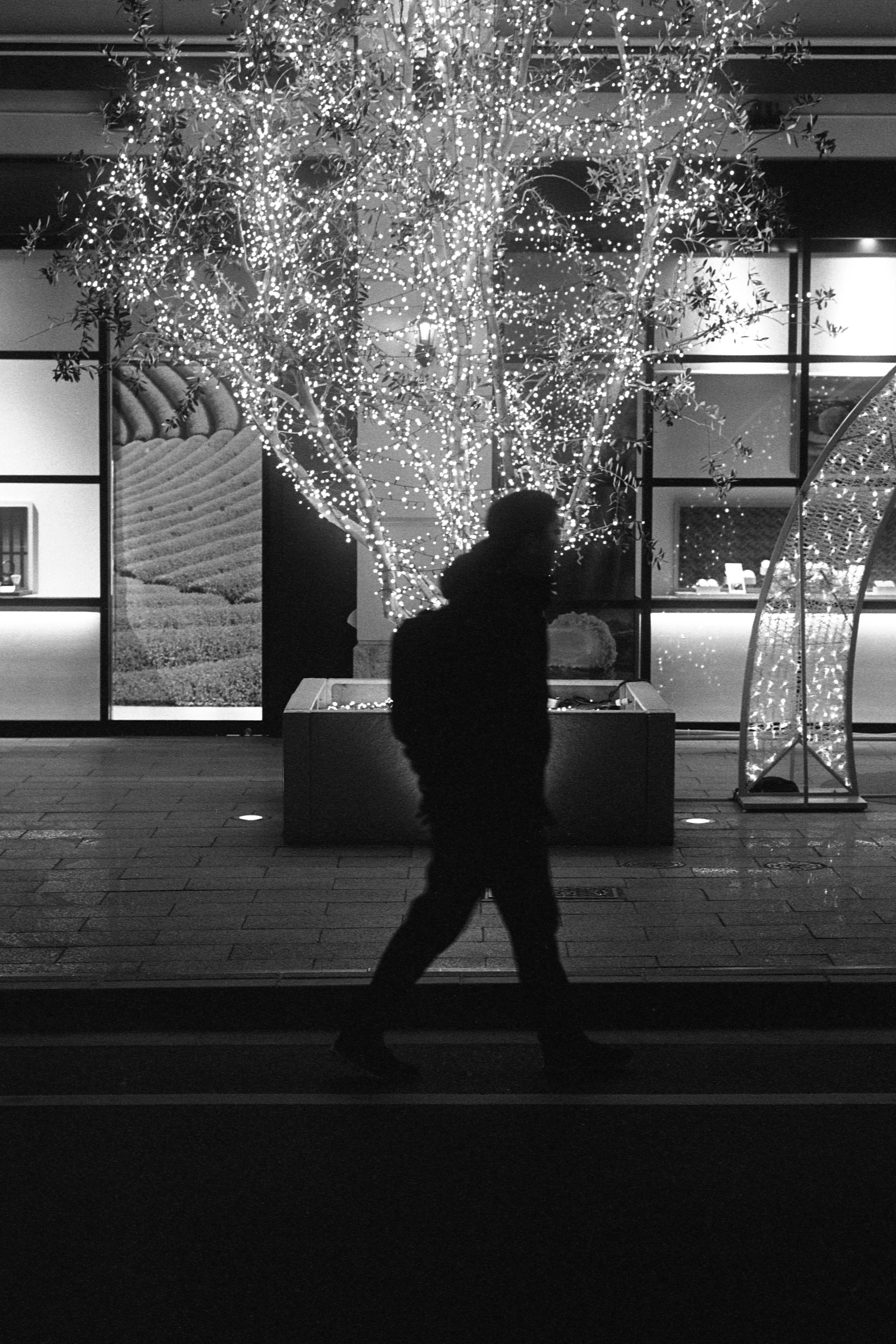 Tri-Xは夜に花開く。｜Miyake