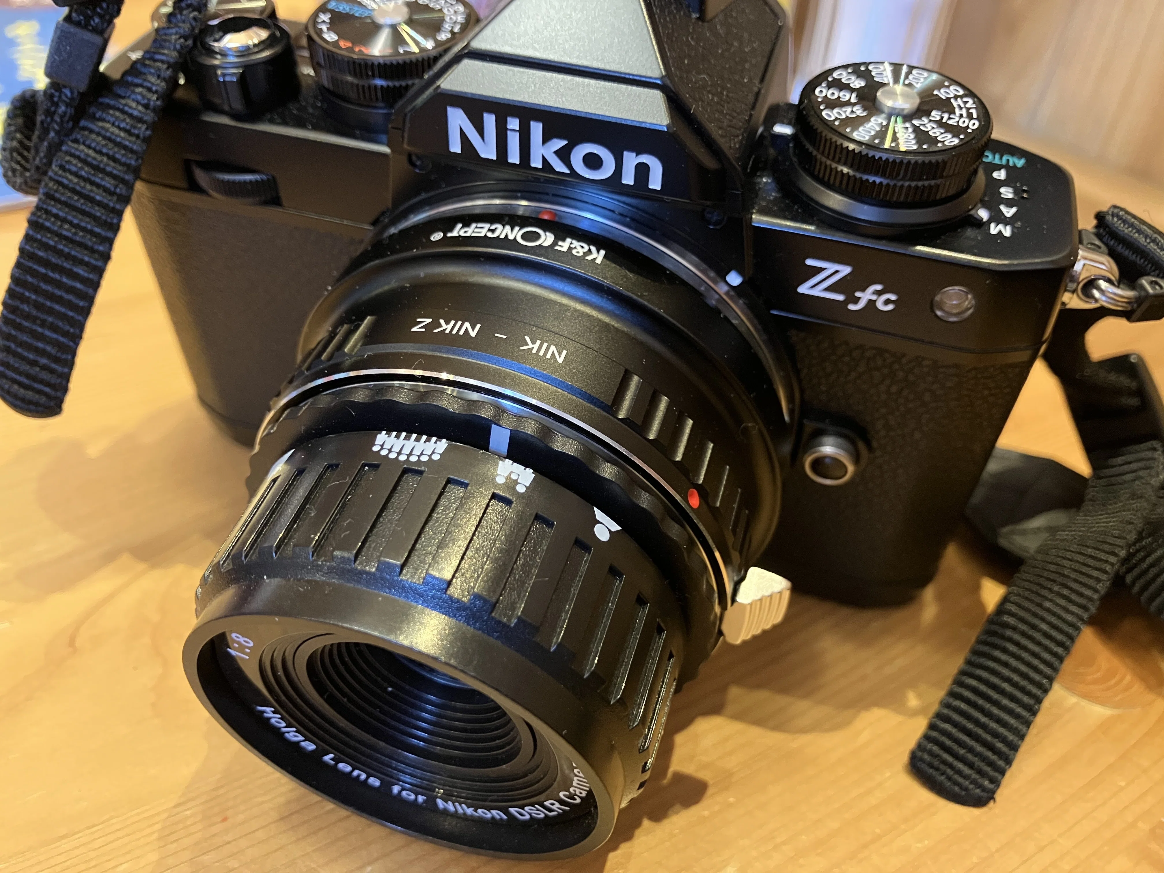 Nikon Zfc + HOLGA｜Tetsu