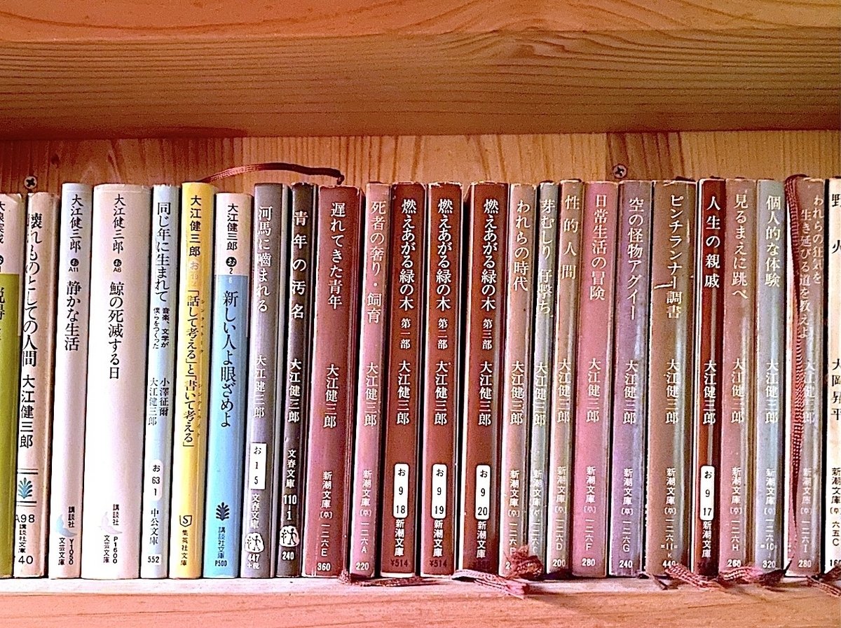 大江健三郎の小説よりもおもしろい、『大江健三郎全小説全解説