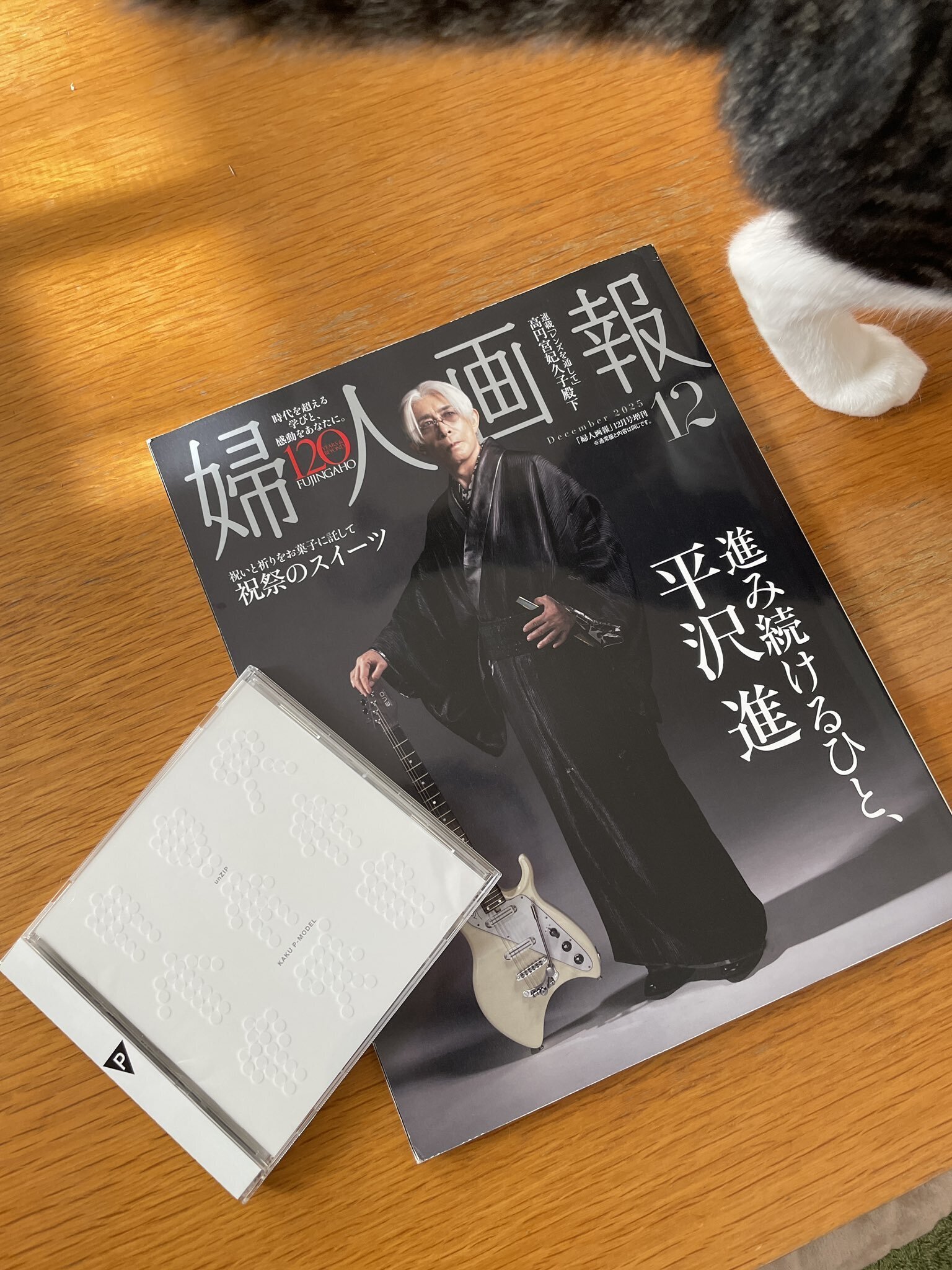 平沢進｜unZIP｜婦人画報｜harafumi