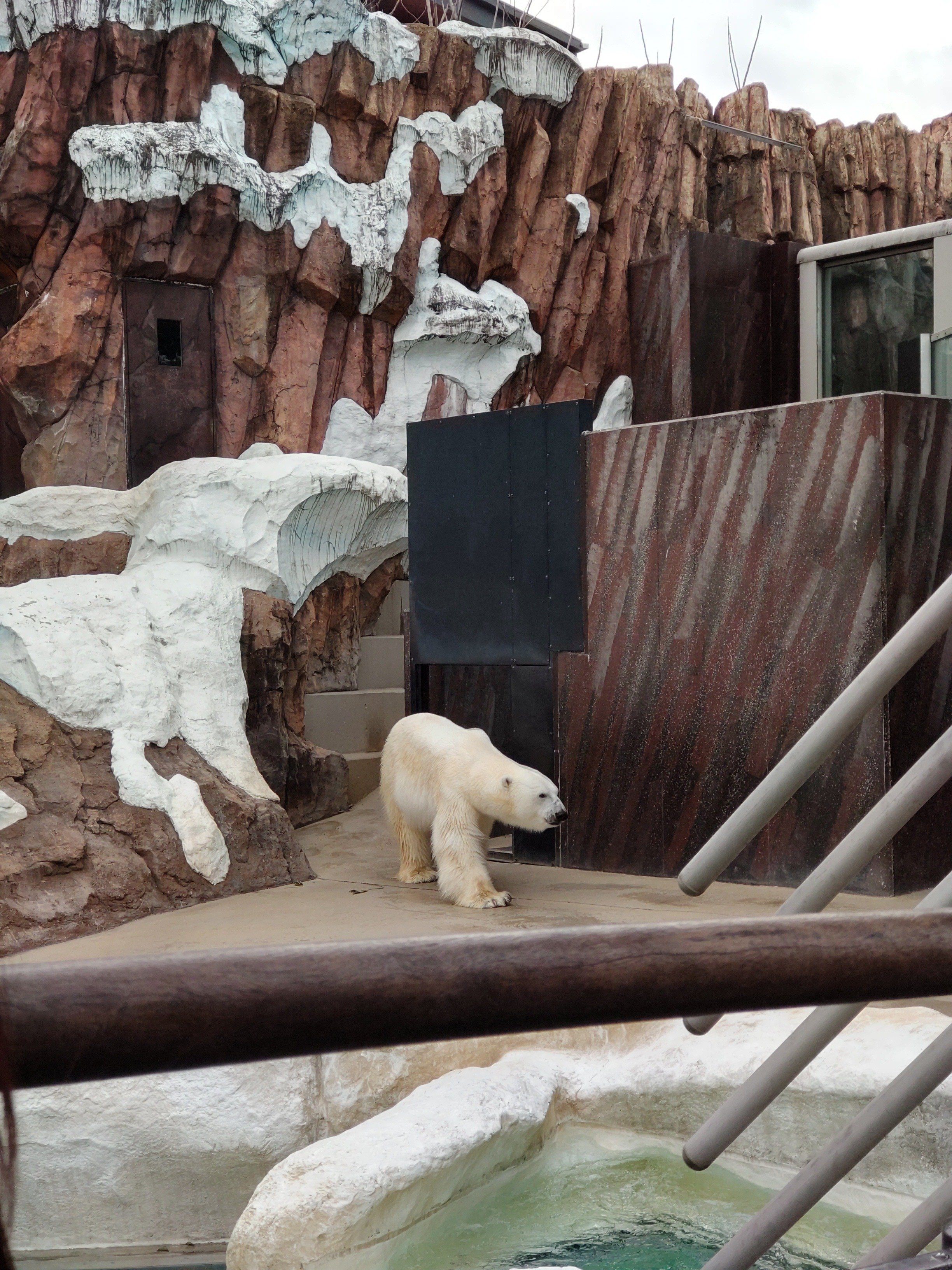 0120 白熊に会いに行く｜黒本聖南