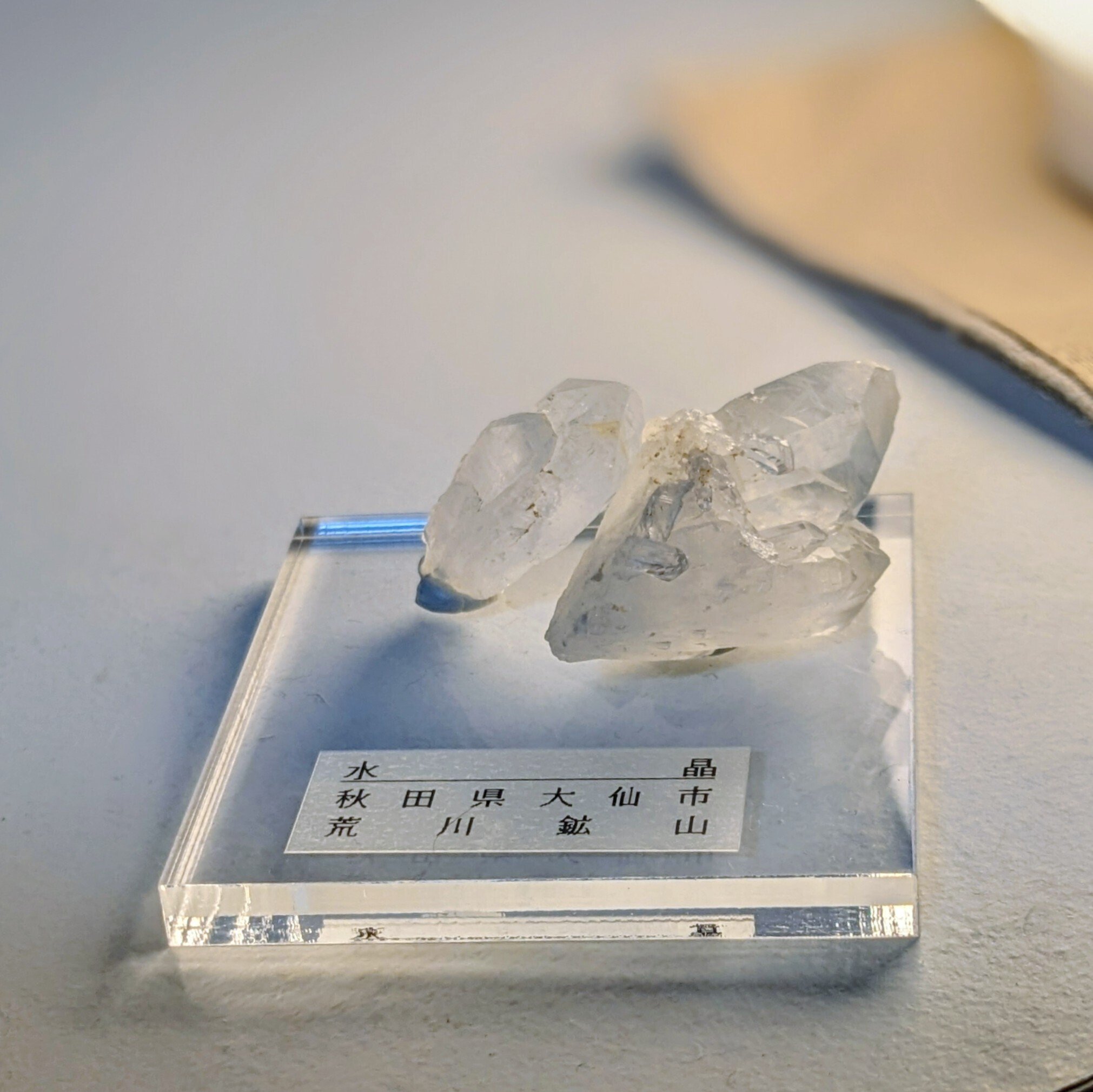 ミネラルプチマルシェ行ってみた&鉱物標本の話。｜松峰￤イラストレーター