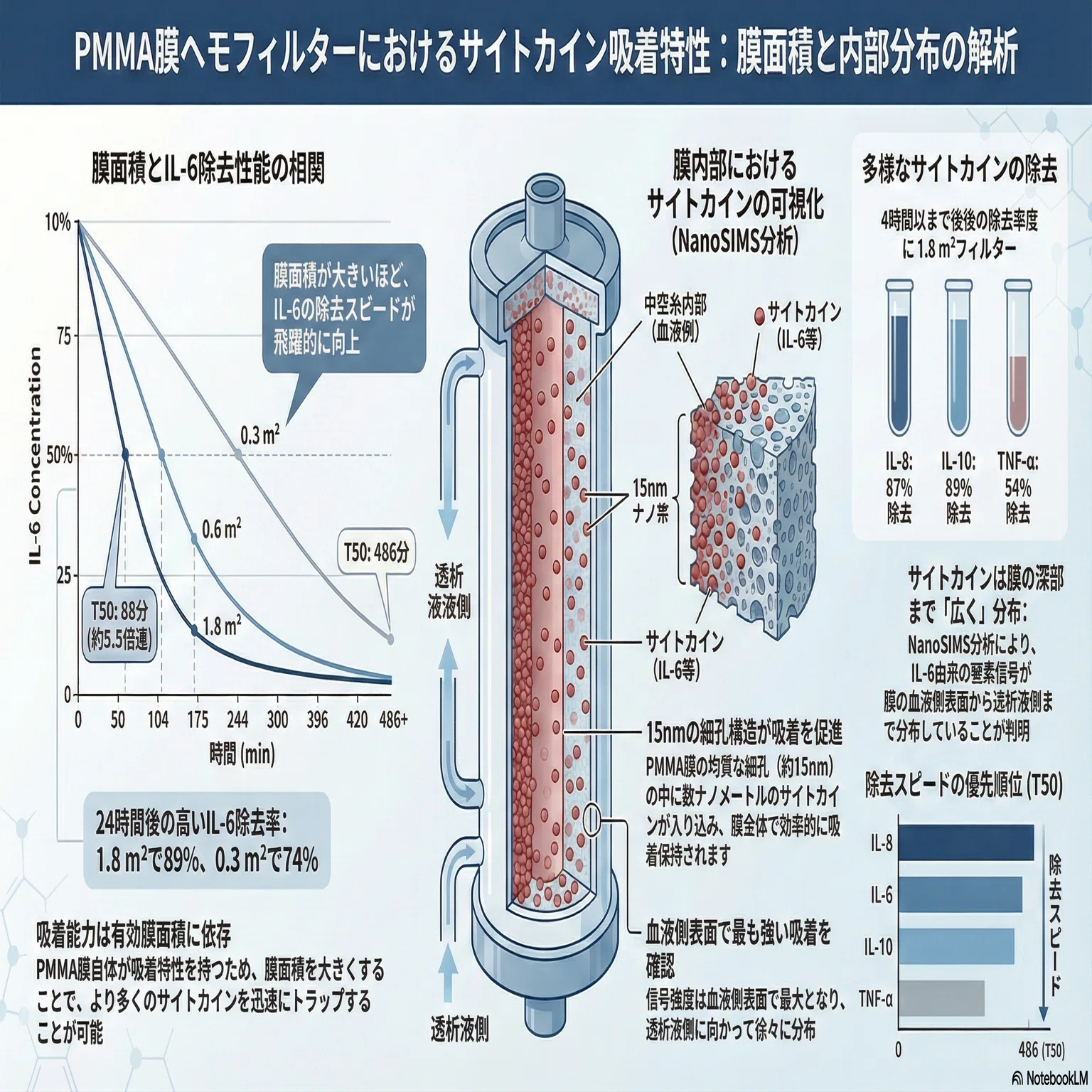 PMMA膜のサイトカイン吸着、実は「膜全体」で起きていた？膜面積と吸着
