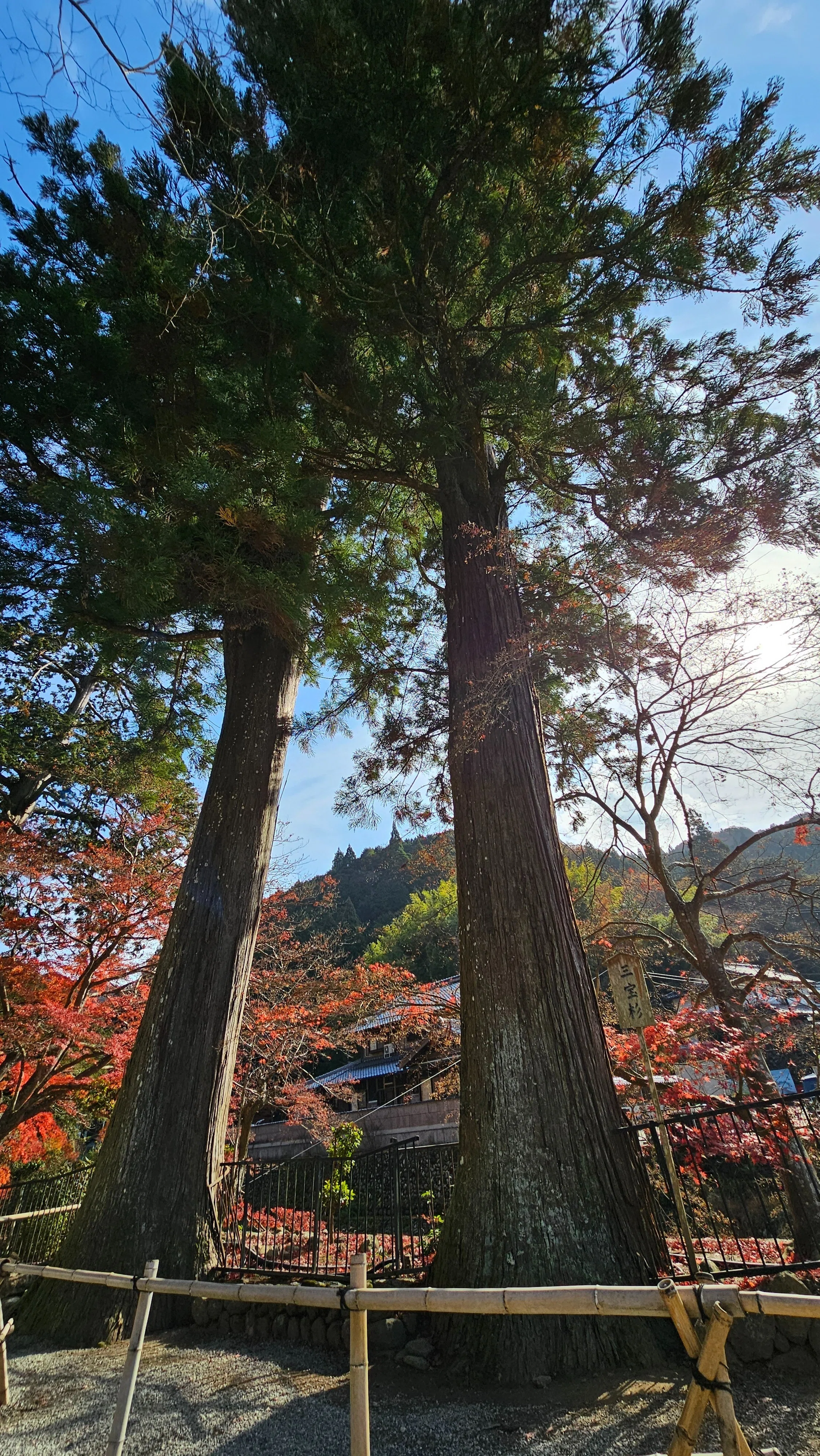 社寺散歩｜室生寺｜奈良・宇陀市｜奥深い山間に凛と佇む女人高野｜xicano