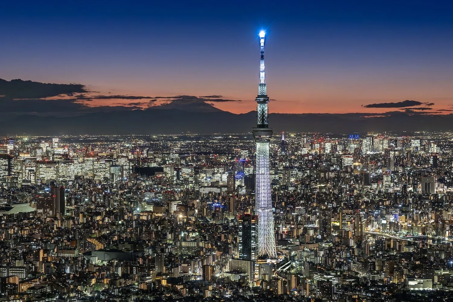 東京スカイツリー®を真俯瞰から！？ ヘリコプターで東京の夜景を空撮